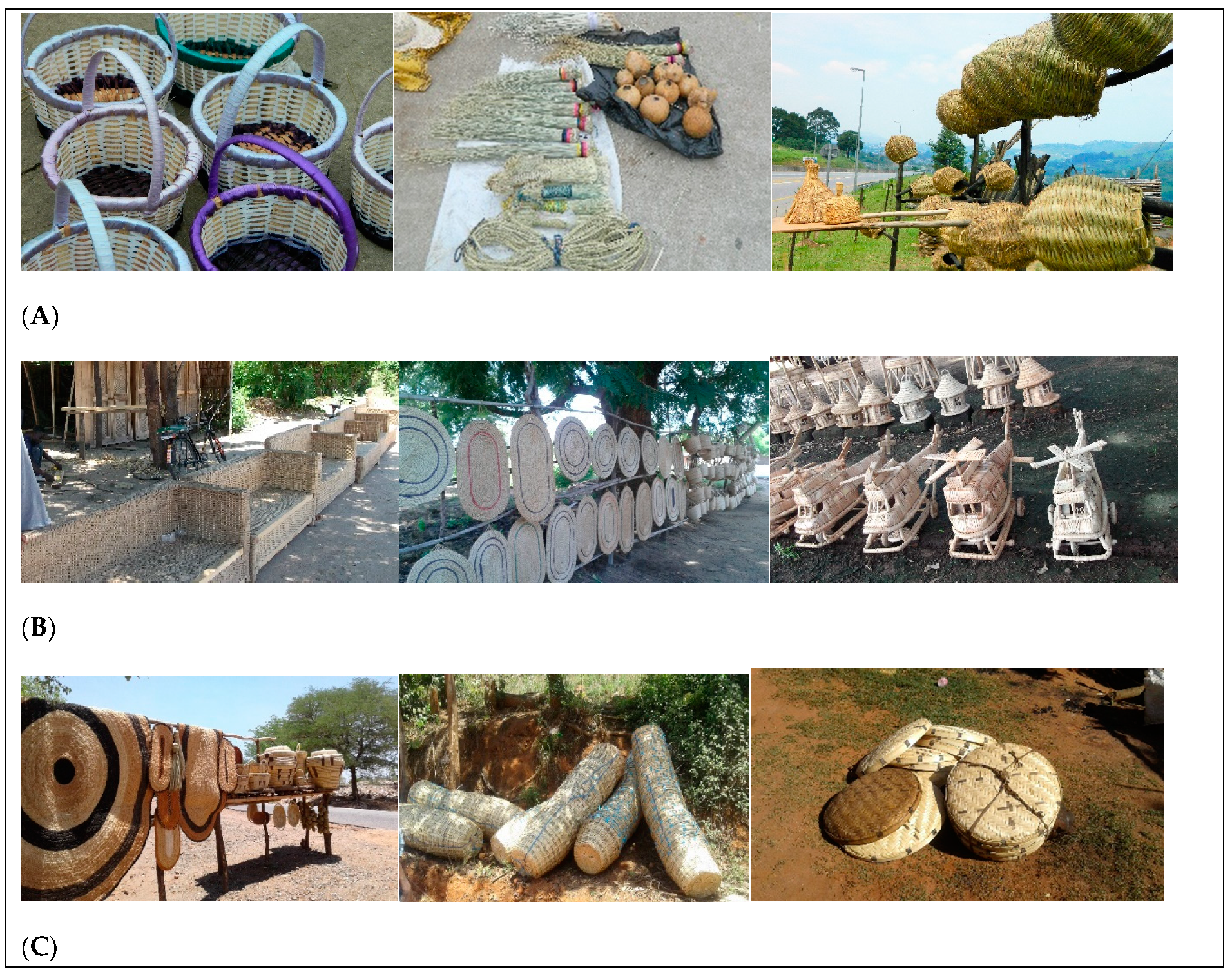 Forests 11 00832 g002