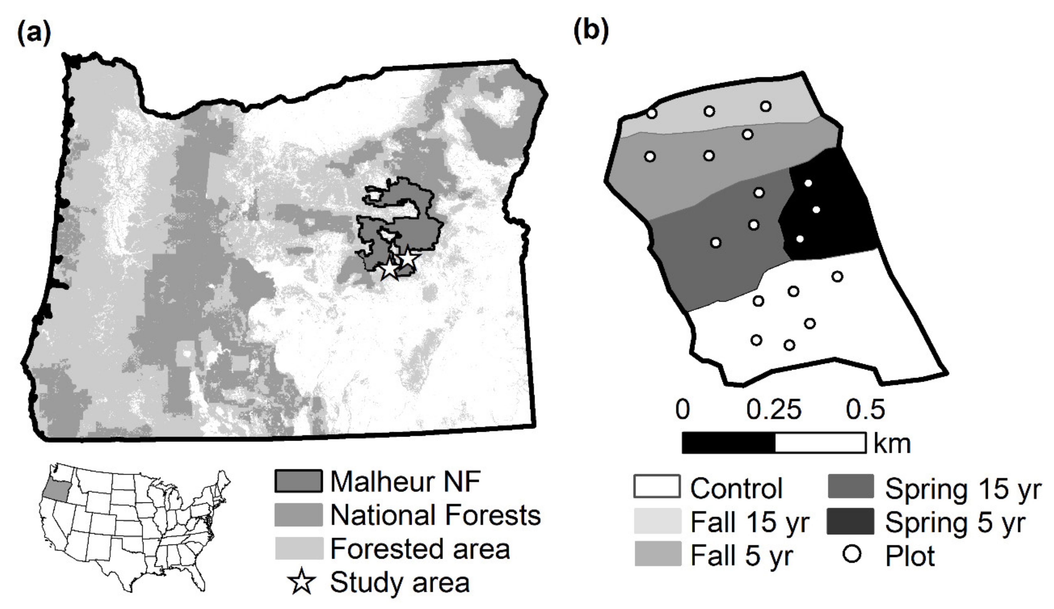 Forests 11 00834 g001