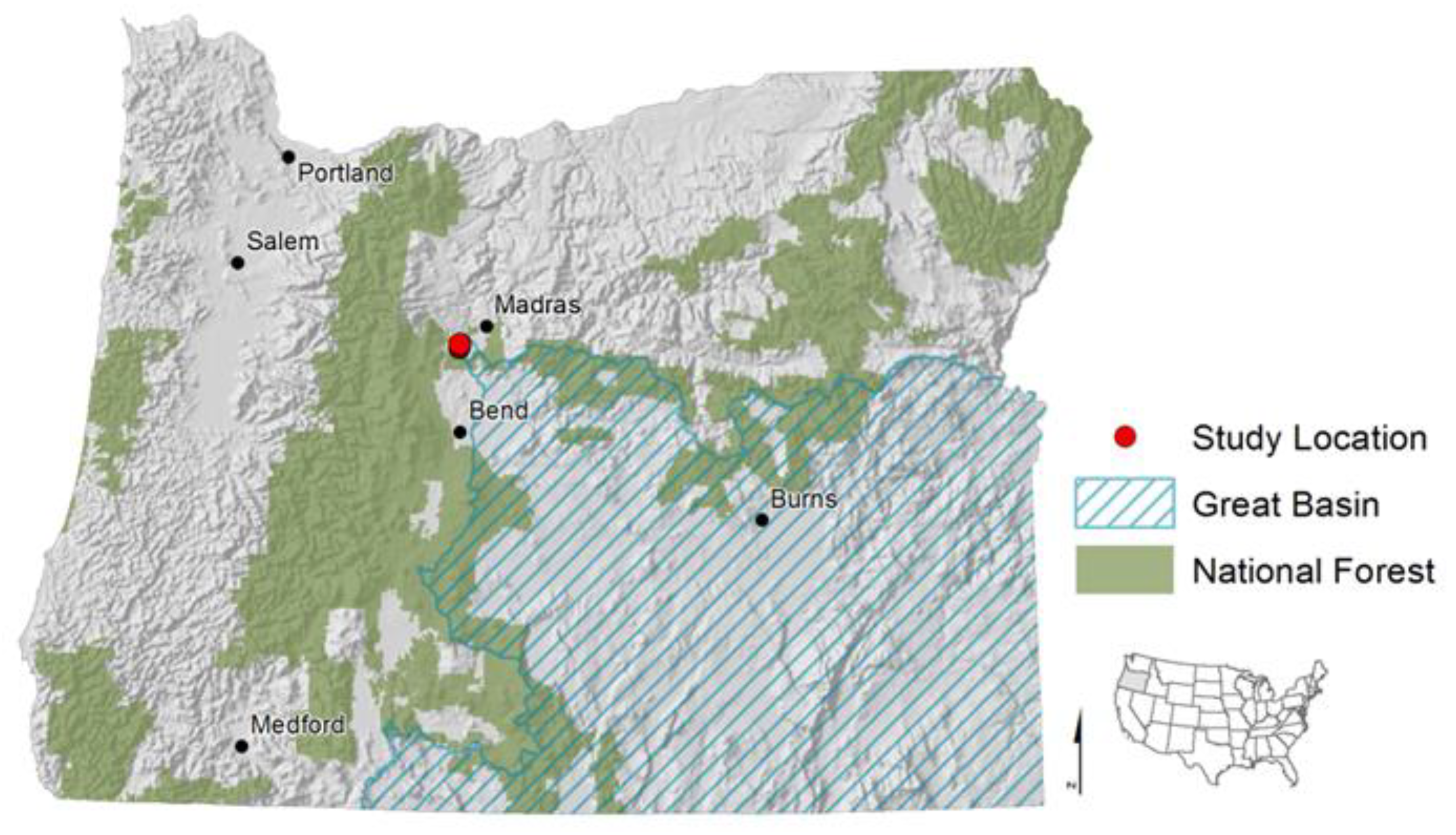 Forests 11 00839 g001 Forests 11 00839 g001