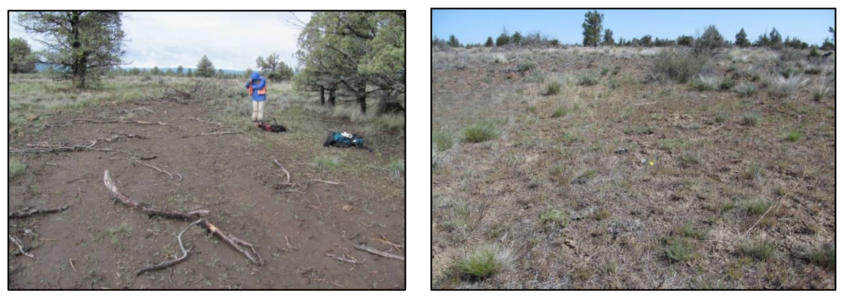 Forests 11 00839 g003 Forests 11 00839 g003