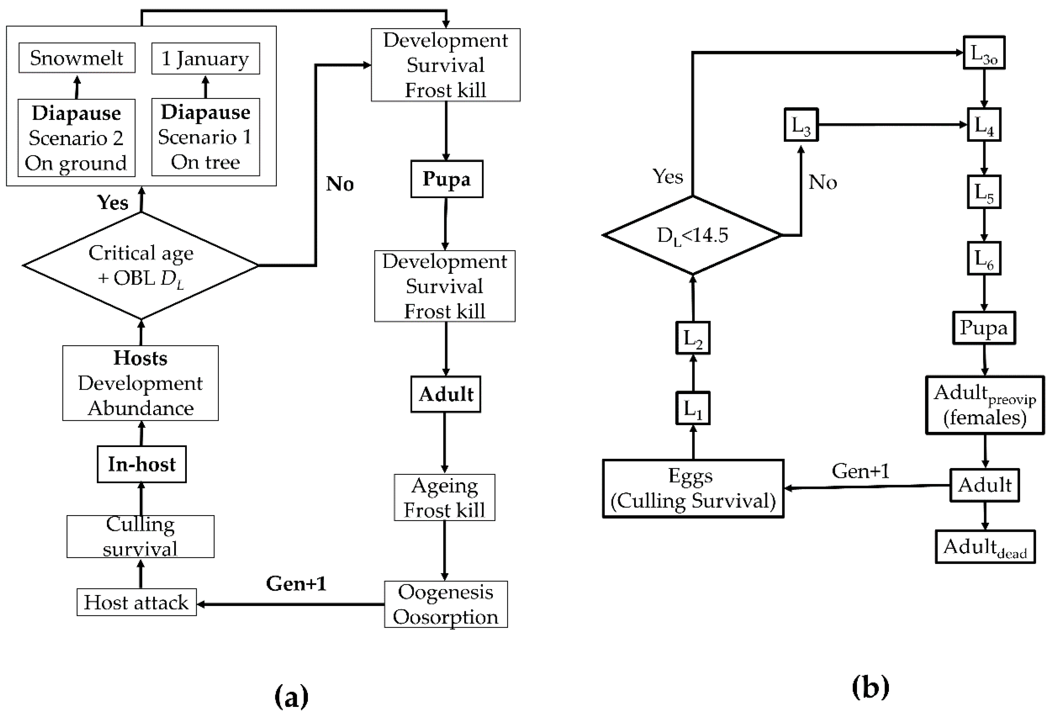 Forests 11 00846 g002