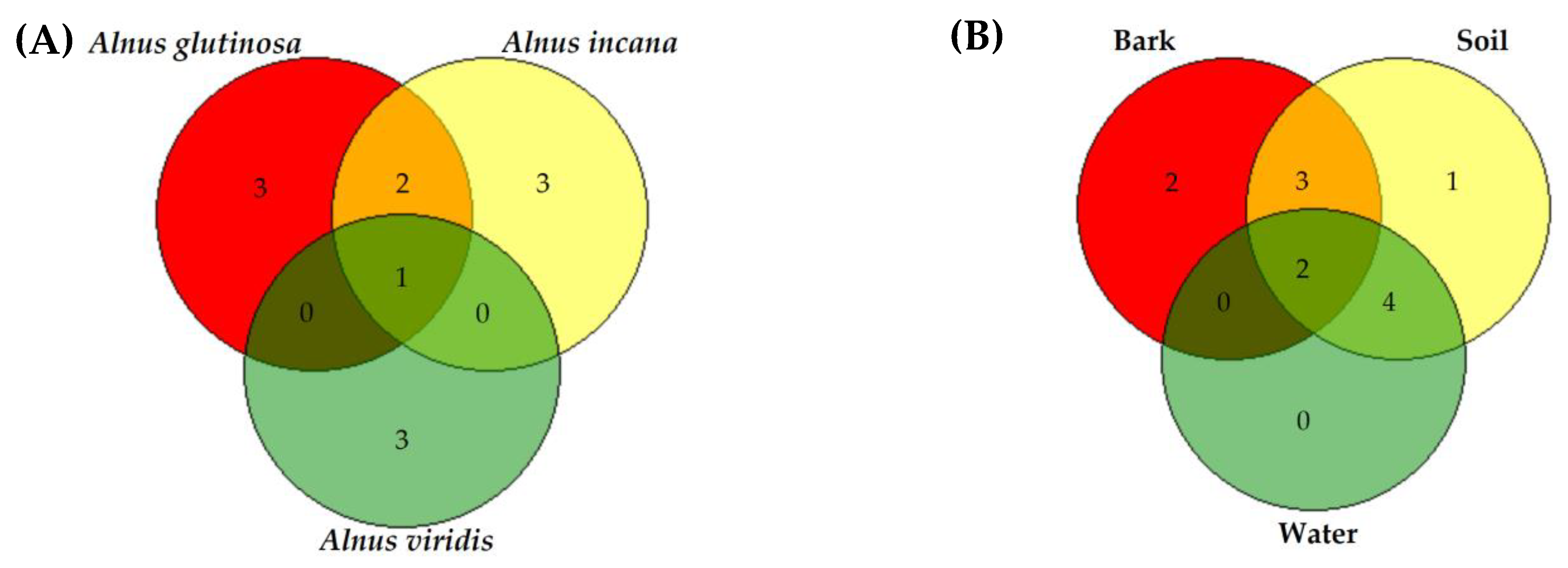 Forests 11 00848 g002 Forests 11 00848 g002