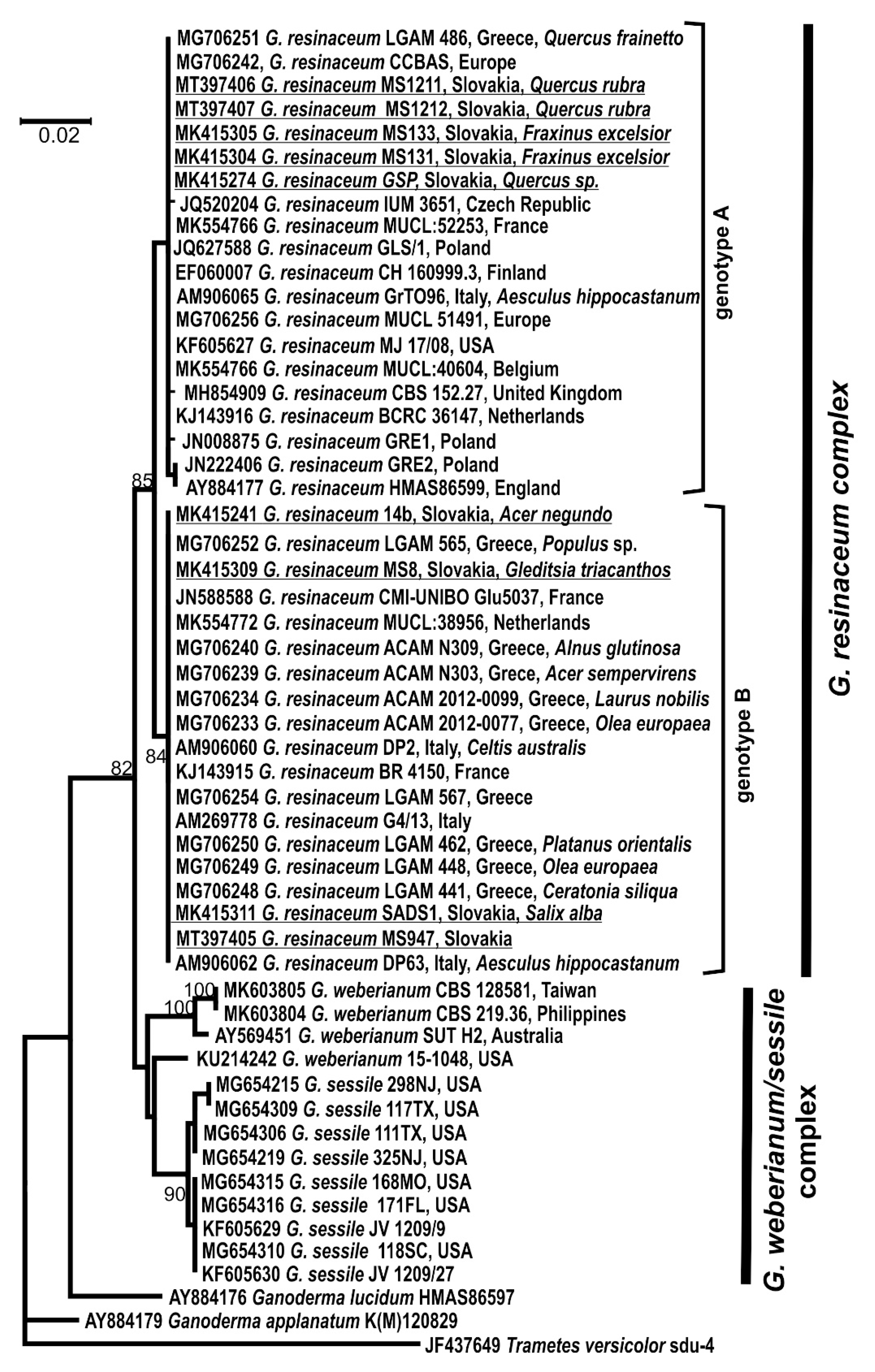 Forests 11 00850 g002 Forests 11 00850 g002