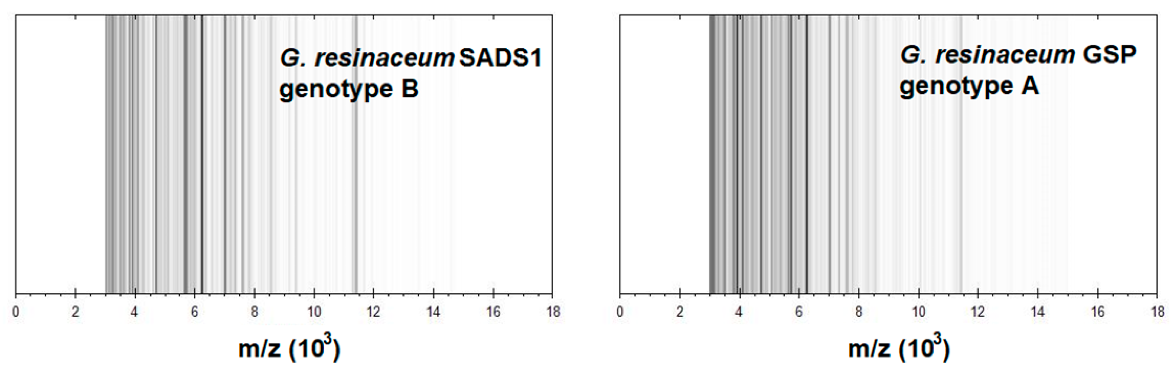 Forests 11 00850 g004 Forests 11 00850 g004
