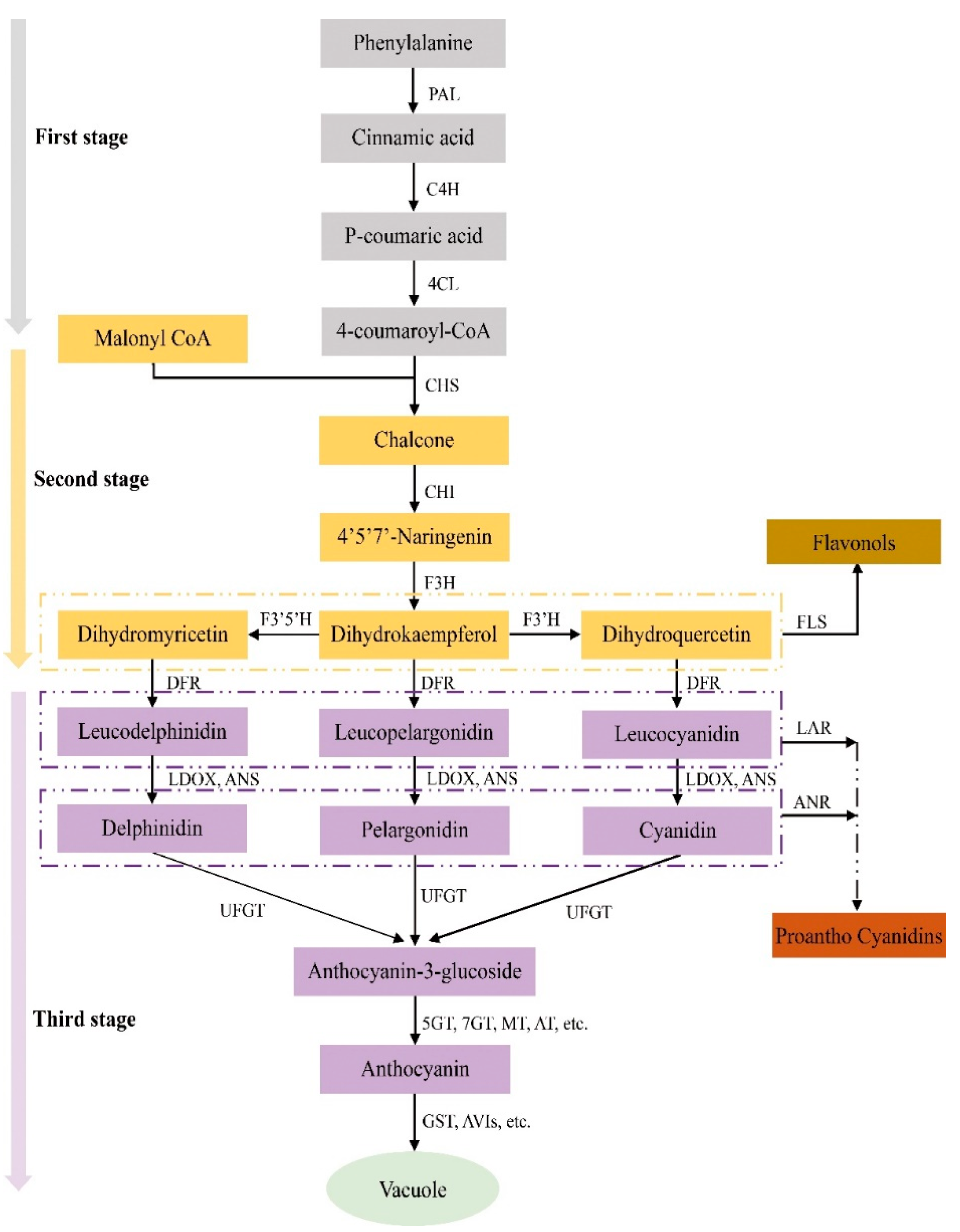 Forests 11 00851 g004
