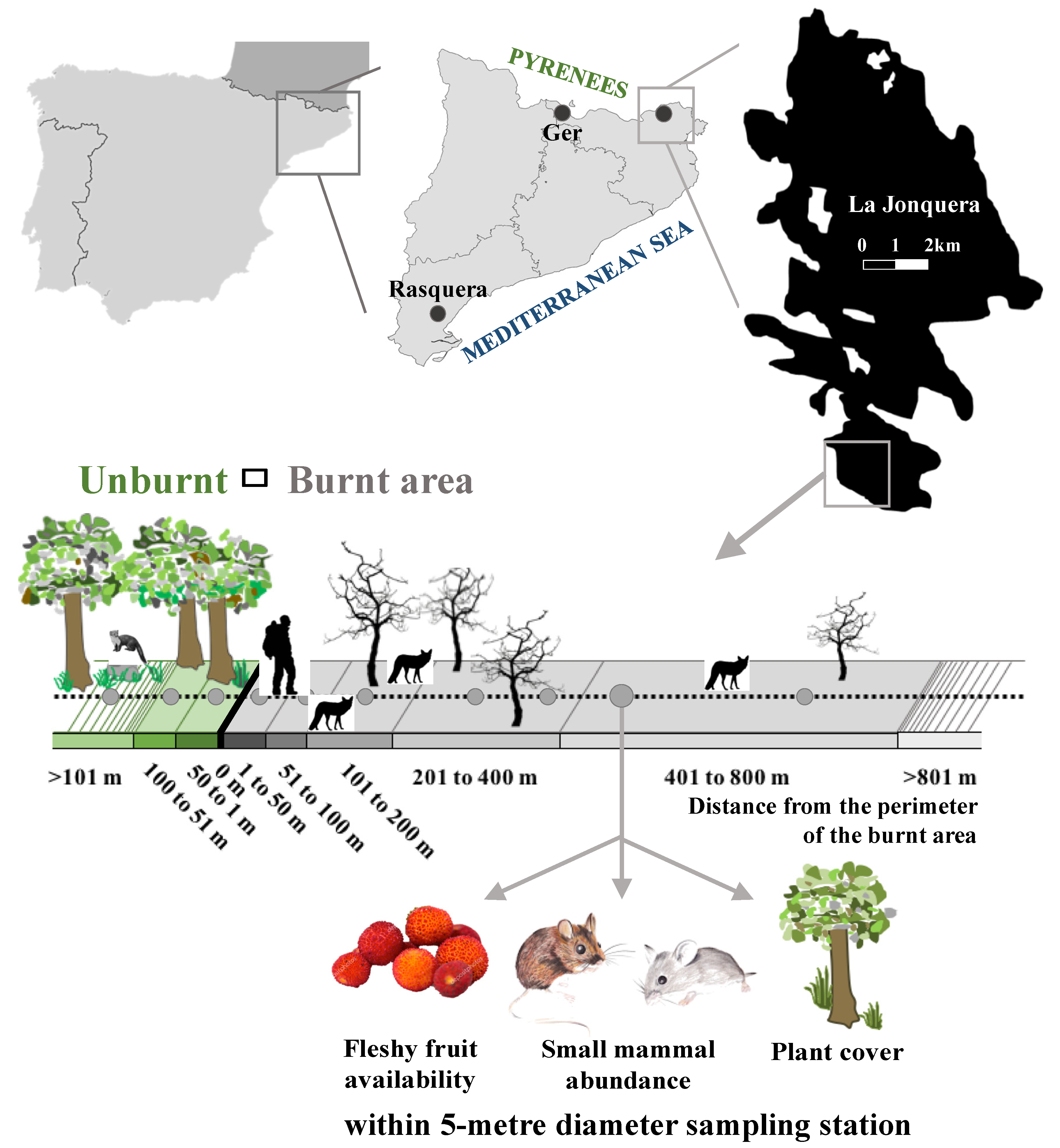 Forests 11 00855 g001 Forests 11 00855 g001