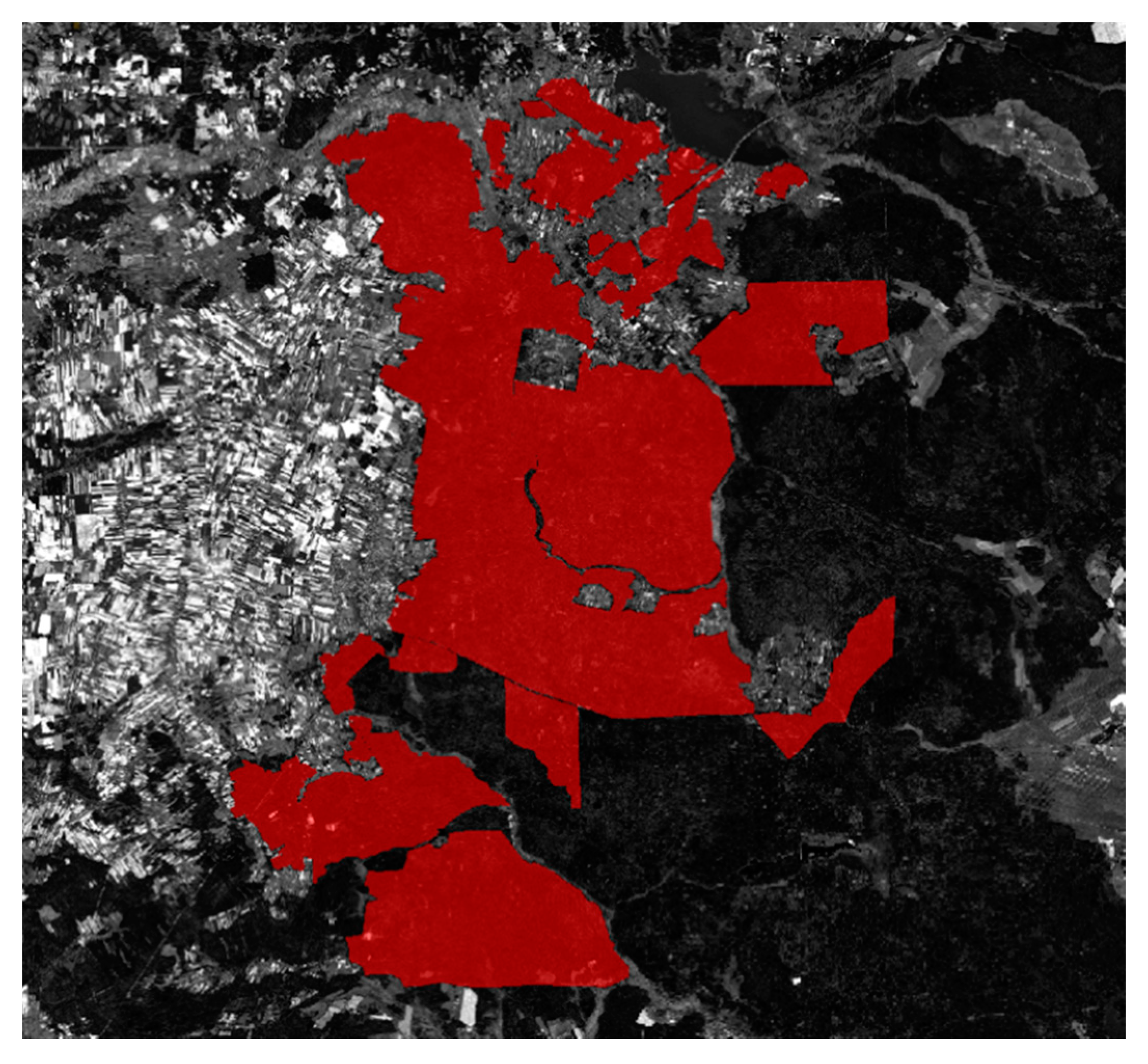 Sentinel-2 Imagery Processing for Tree Logging Observations