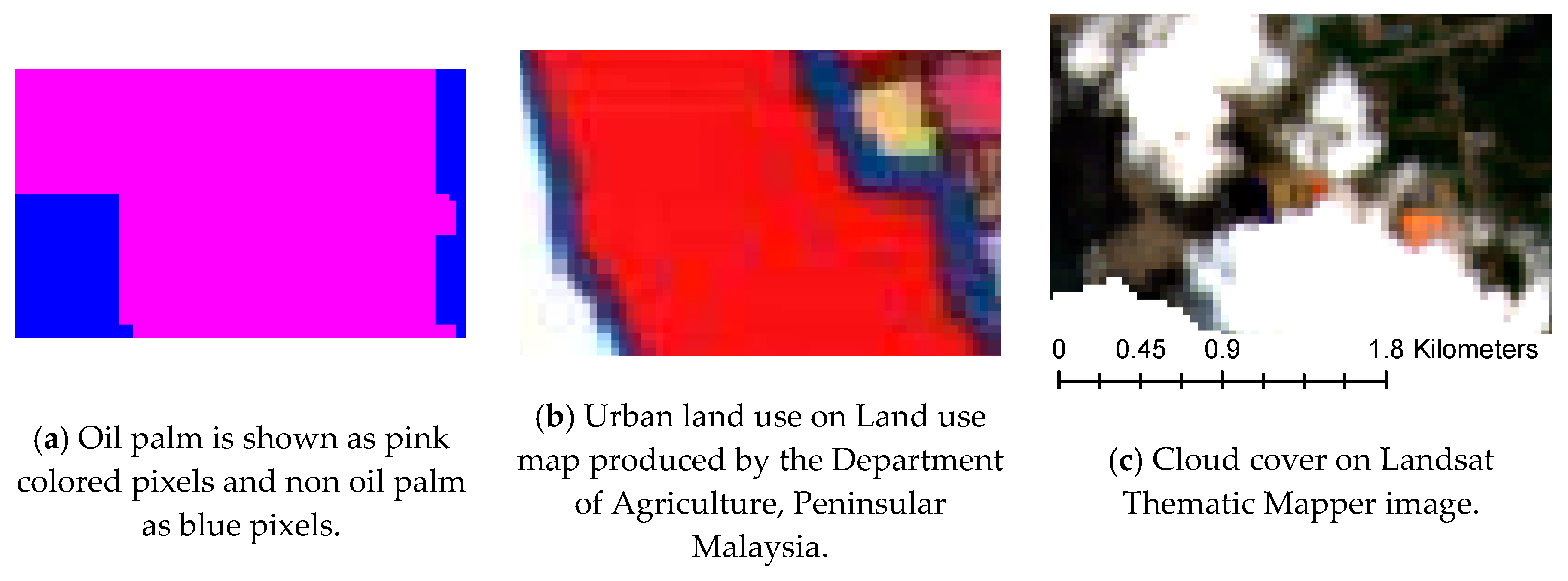 Forests 11 00858 g006 Forests 11 00858 g006