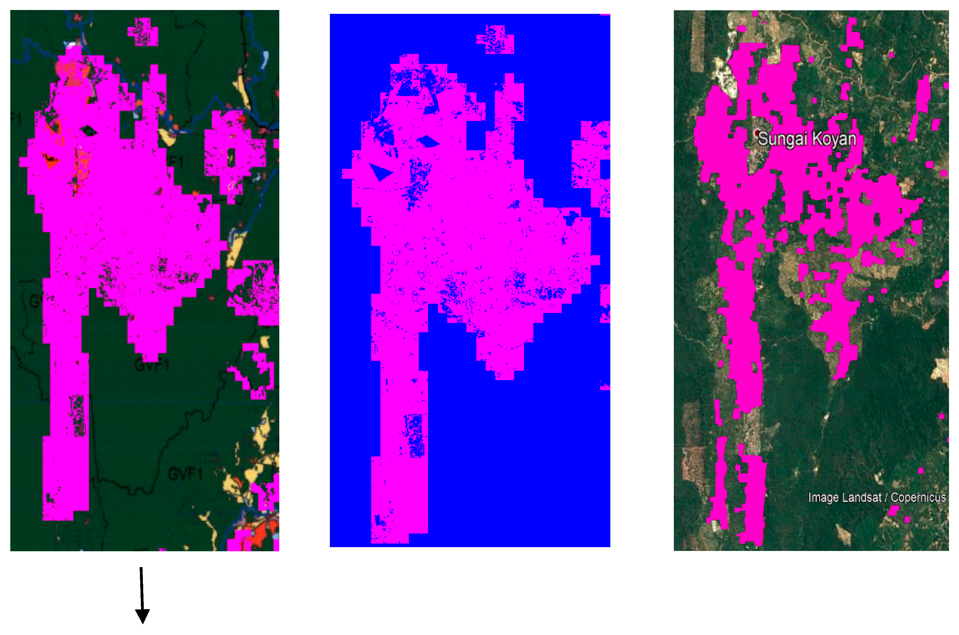 Forests 11 00858 g008a Forests 11 00858 g008a