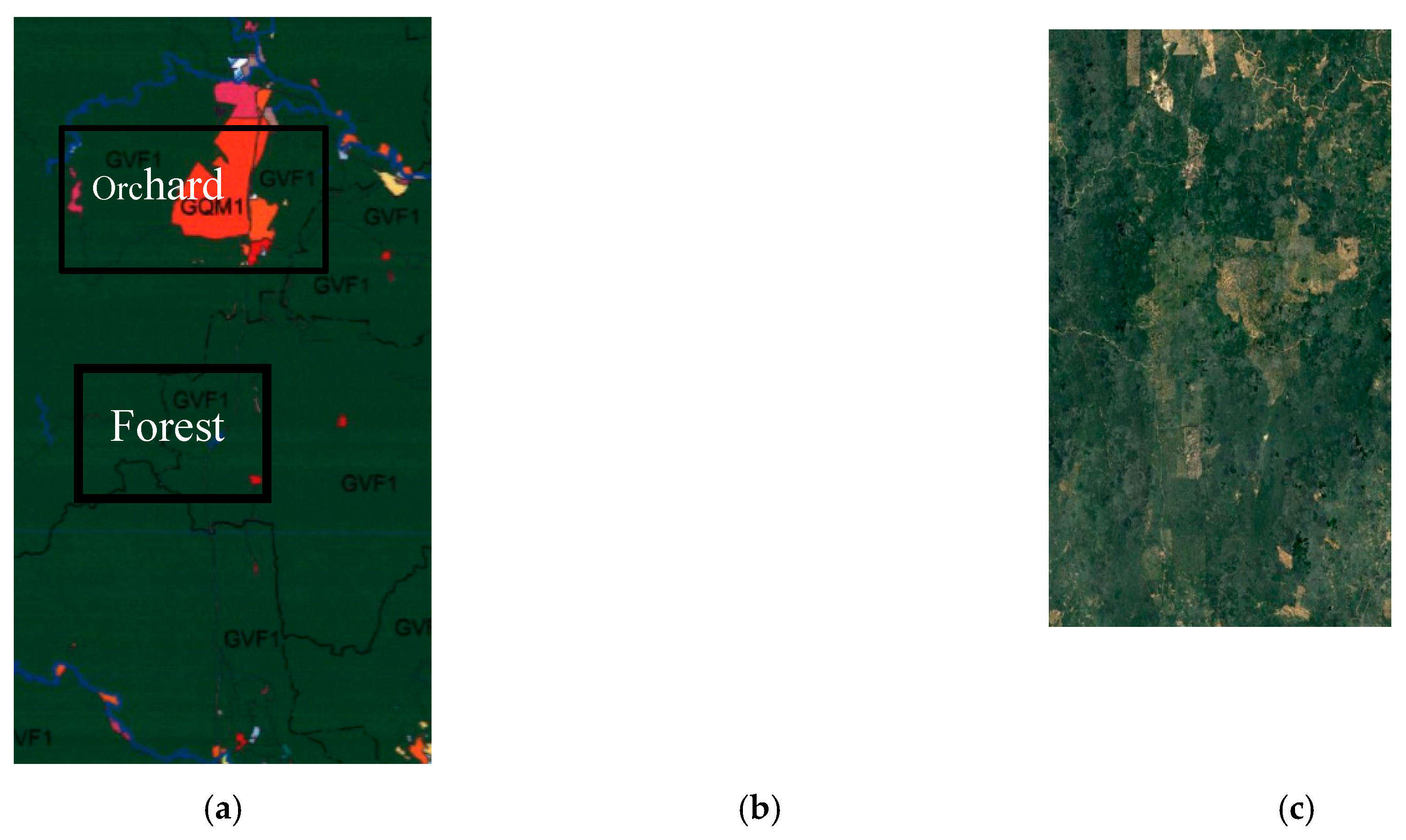 Forests 11 00858 g008b Forests 11 00858 g008b