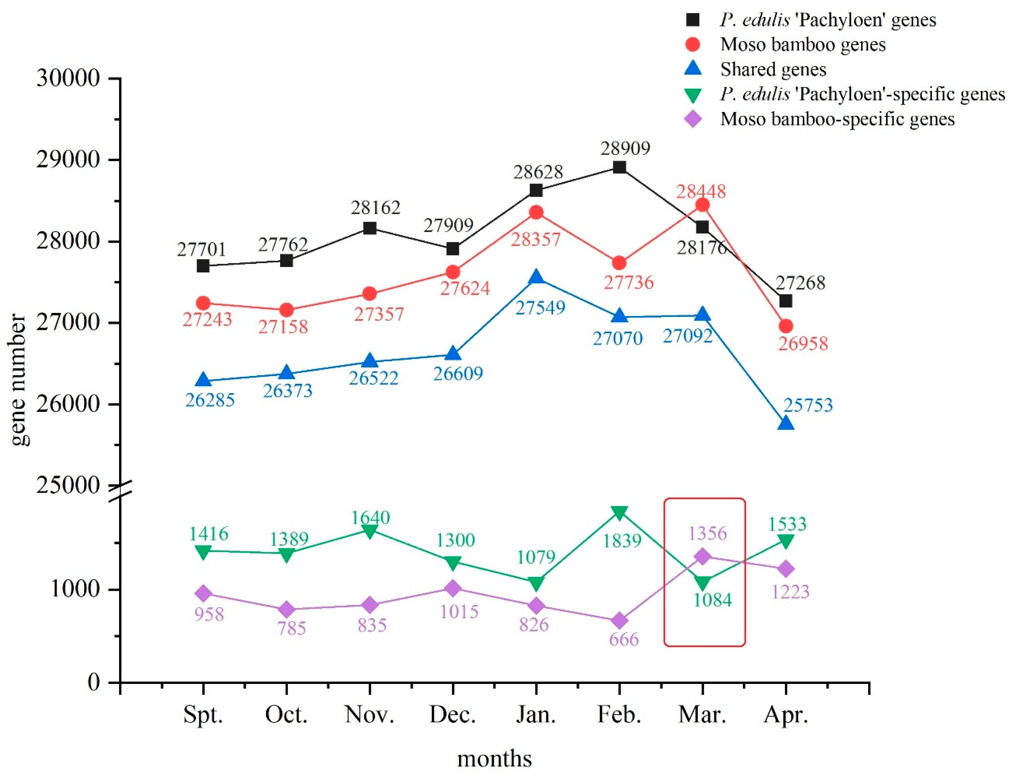 Forests 11 00861 g001