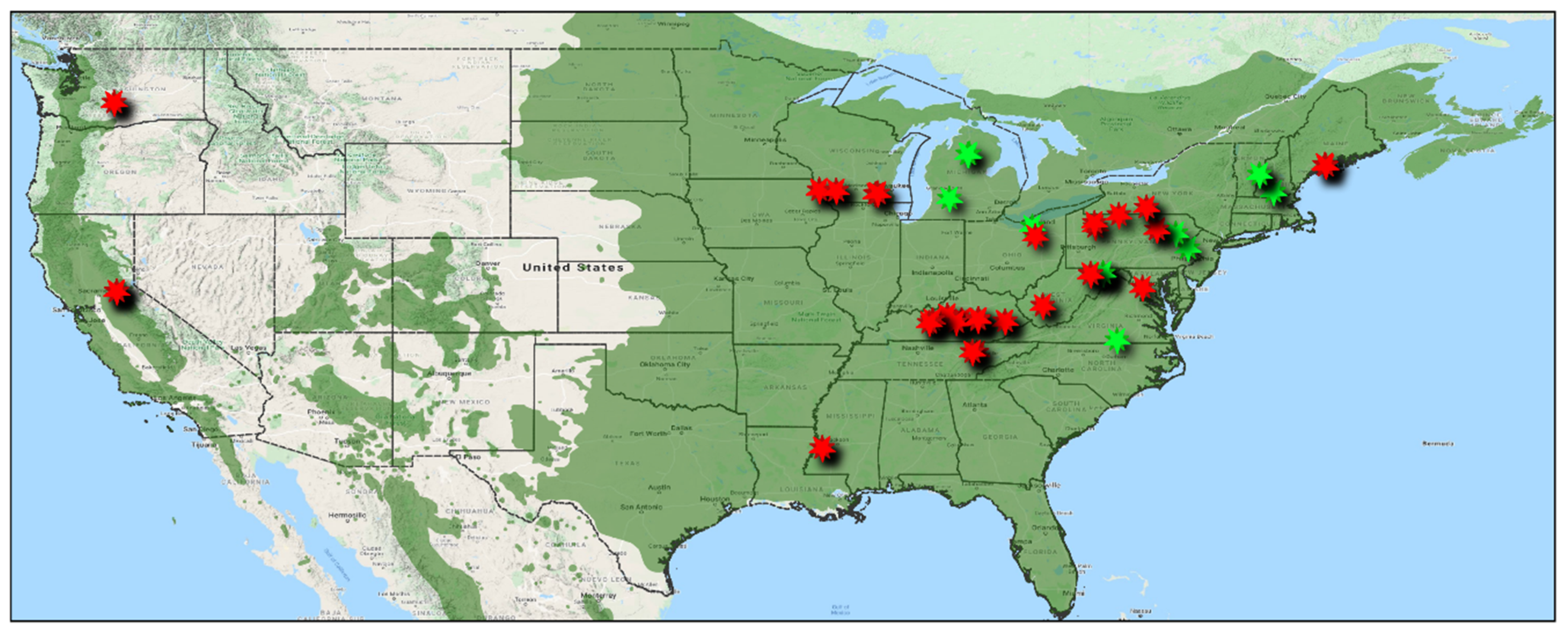 Forests 11 00862 g002