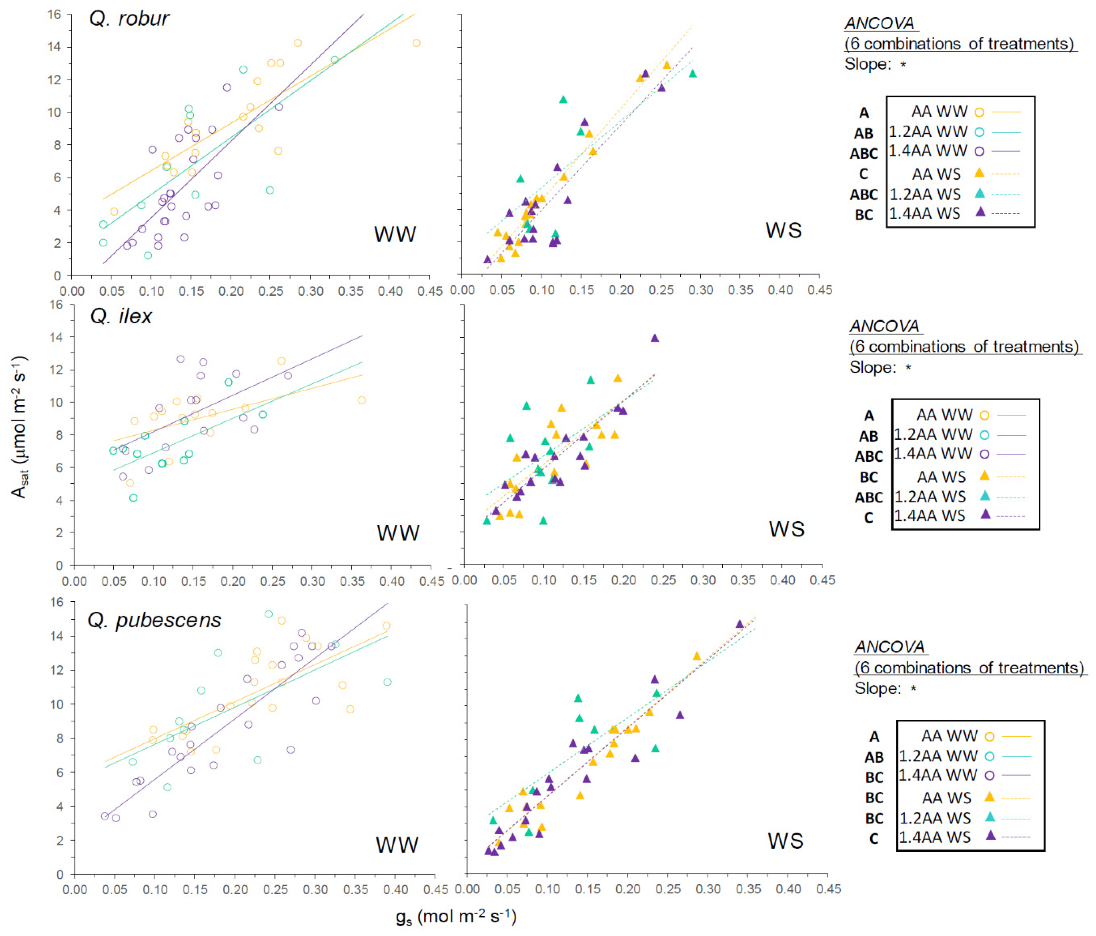 Forests 11 00864 g004