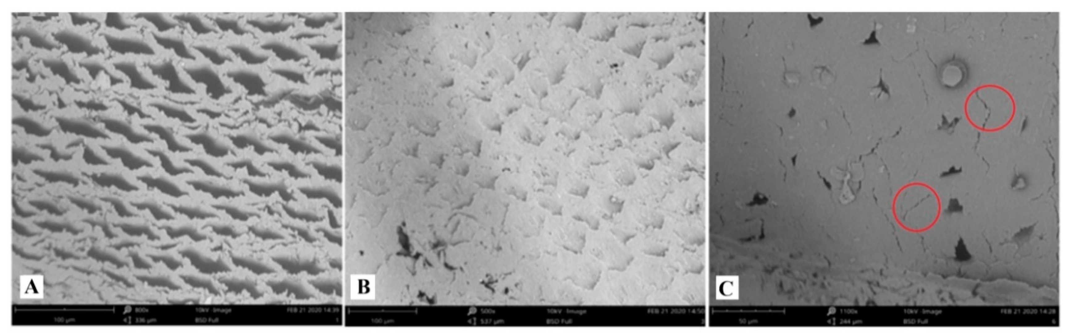 Forests 11 00865 g002 Forests 11 00865 g002