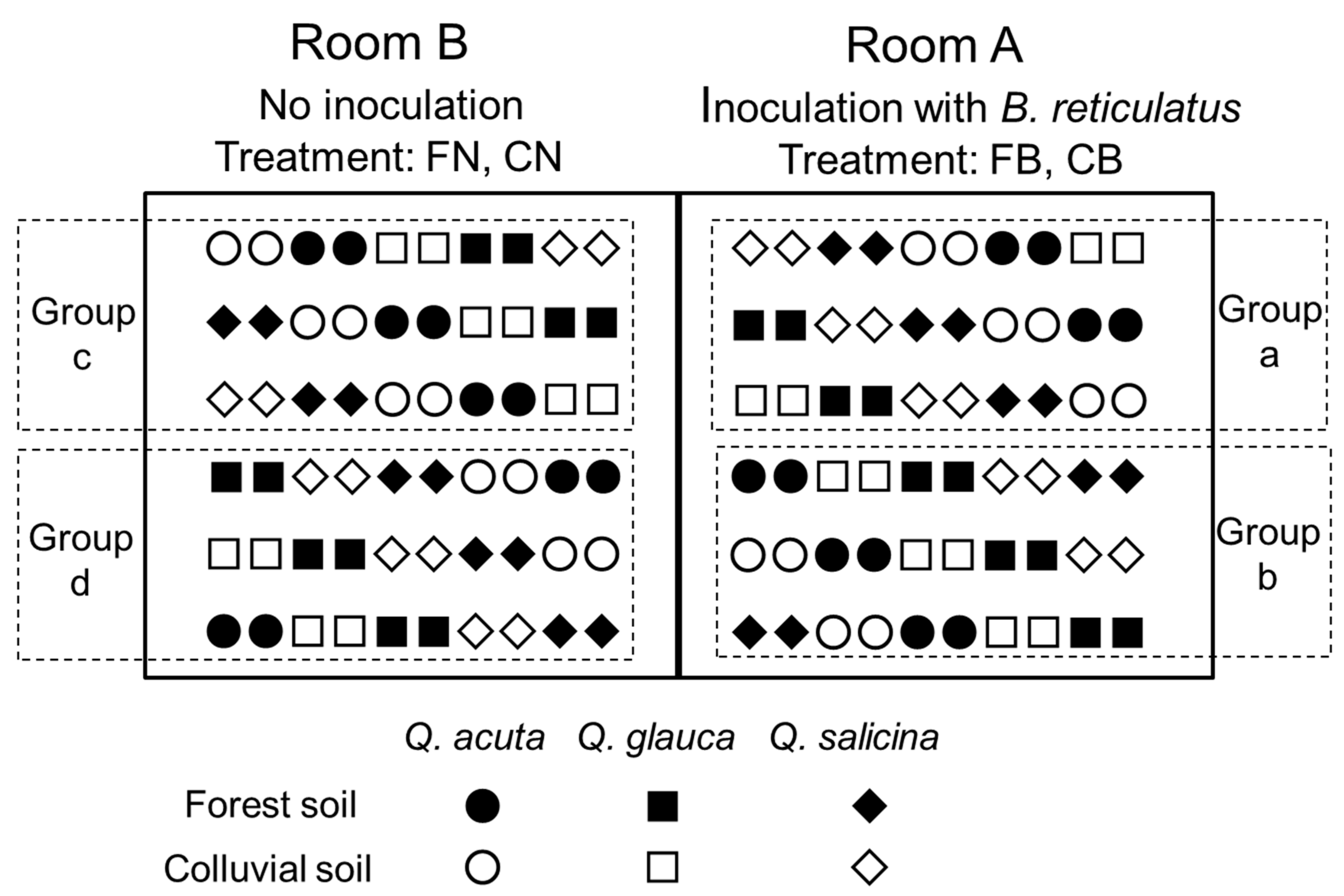 Forests 11 00870 g001 Forests 11 00870 g001