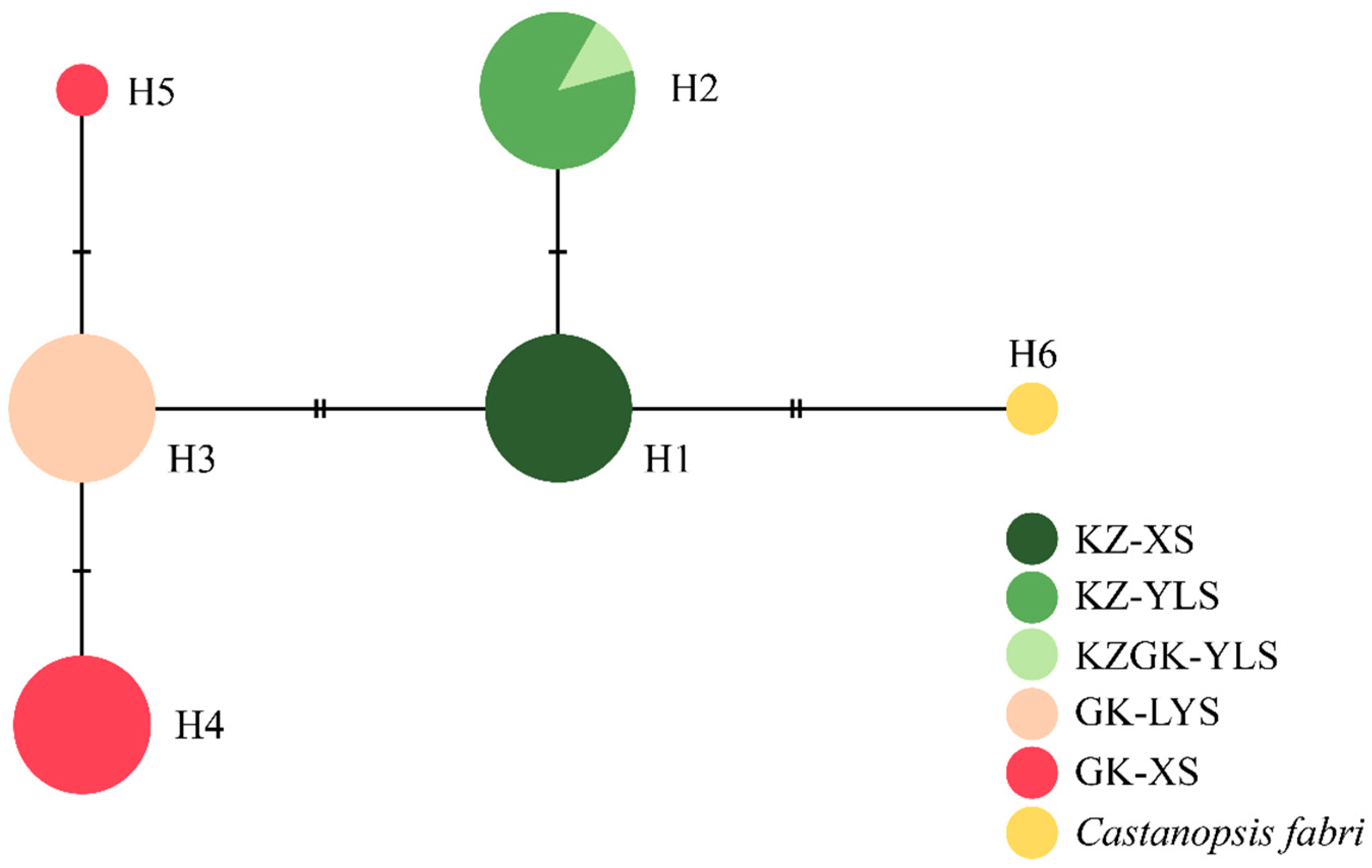 Forests 11 00873 g001 Forests 11 00873 g001