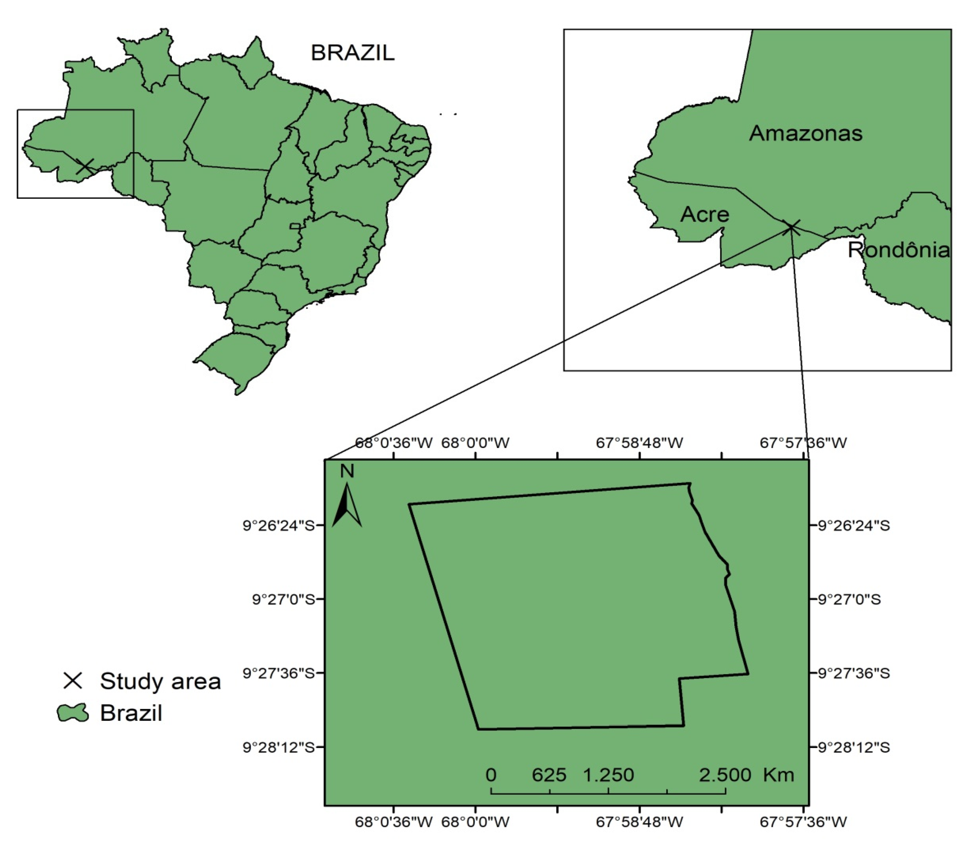 Forests 11 00874 g001