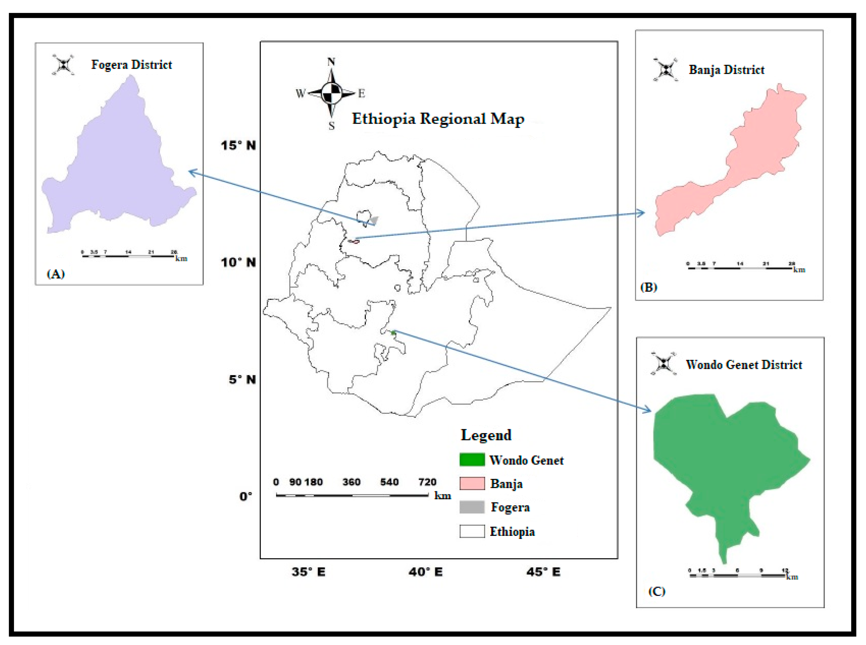 Forests 11 00875 g001 Forests 11 00875 g001