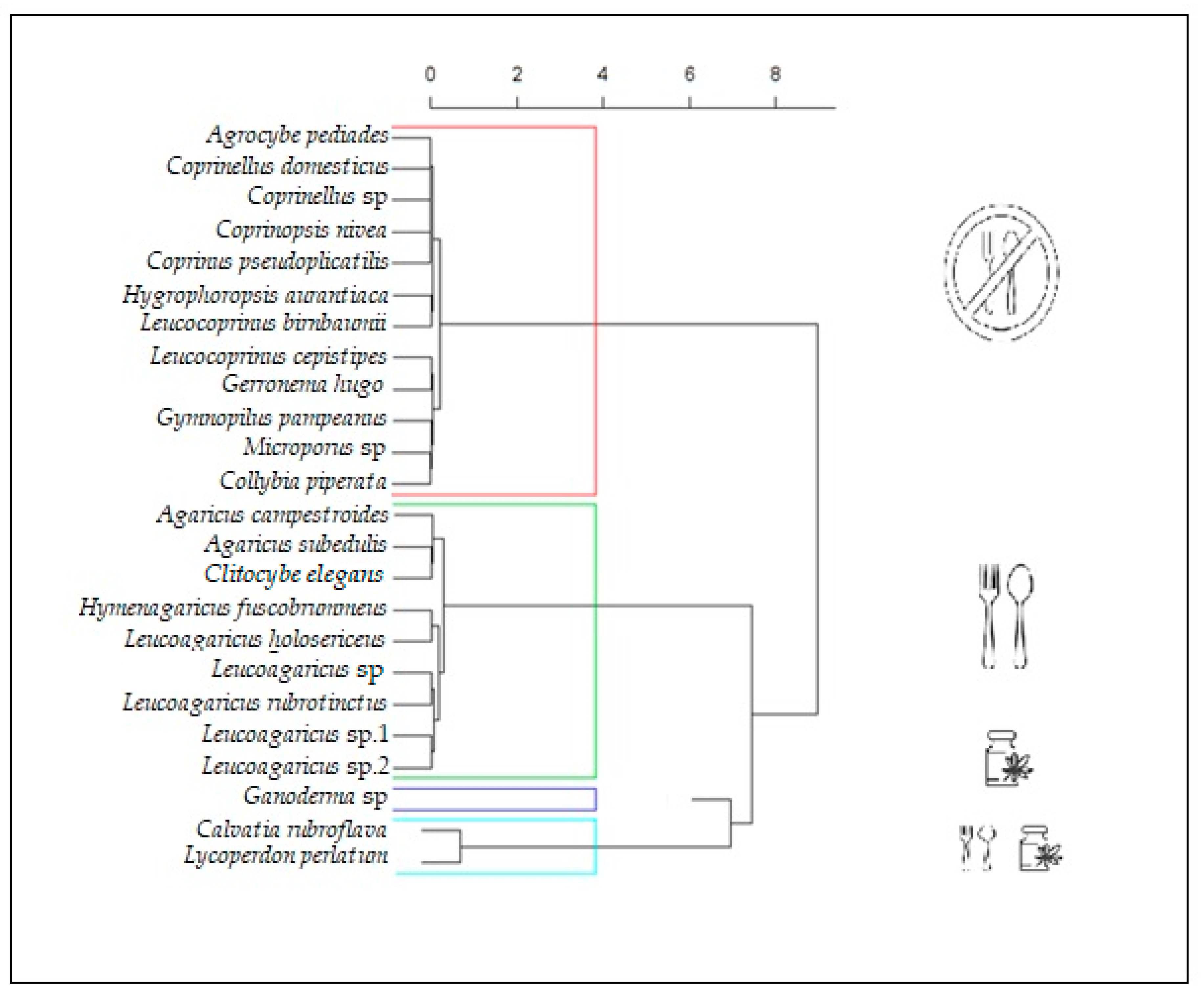 Forests 11 00875 g004 Forests 11 00875 g004