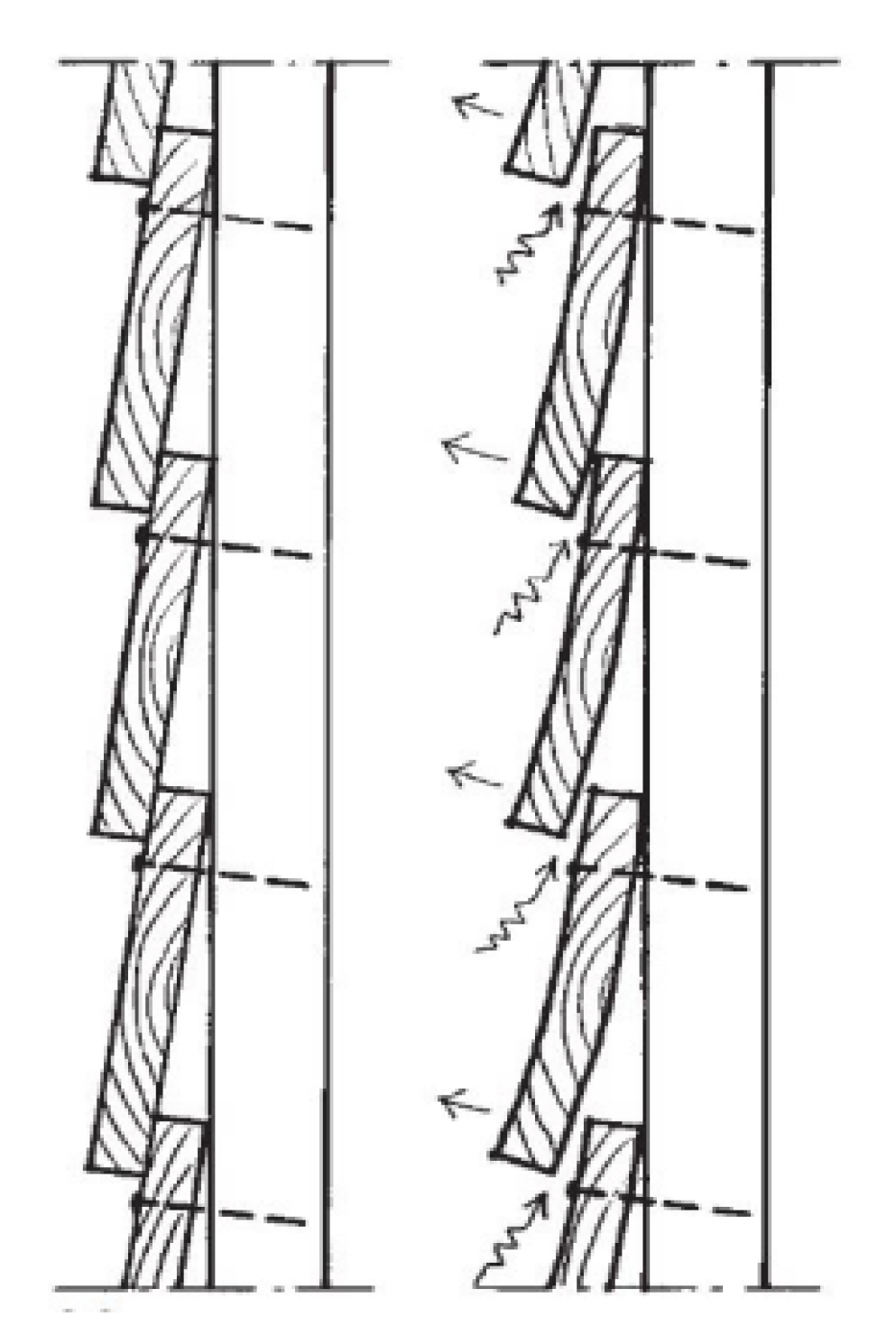 Forests 11 00881 g001 Forests 11 00881 g001