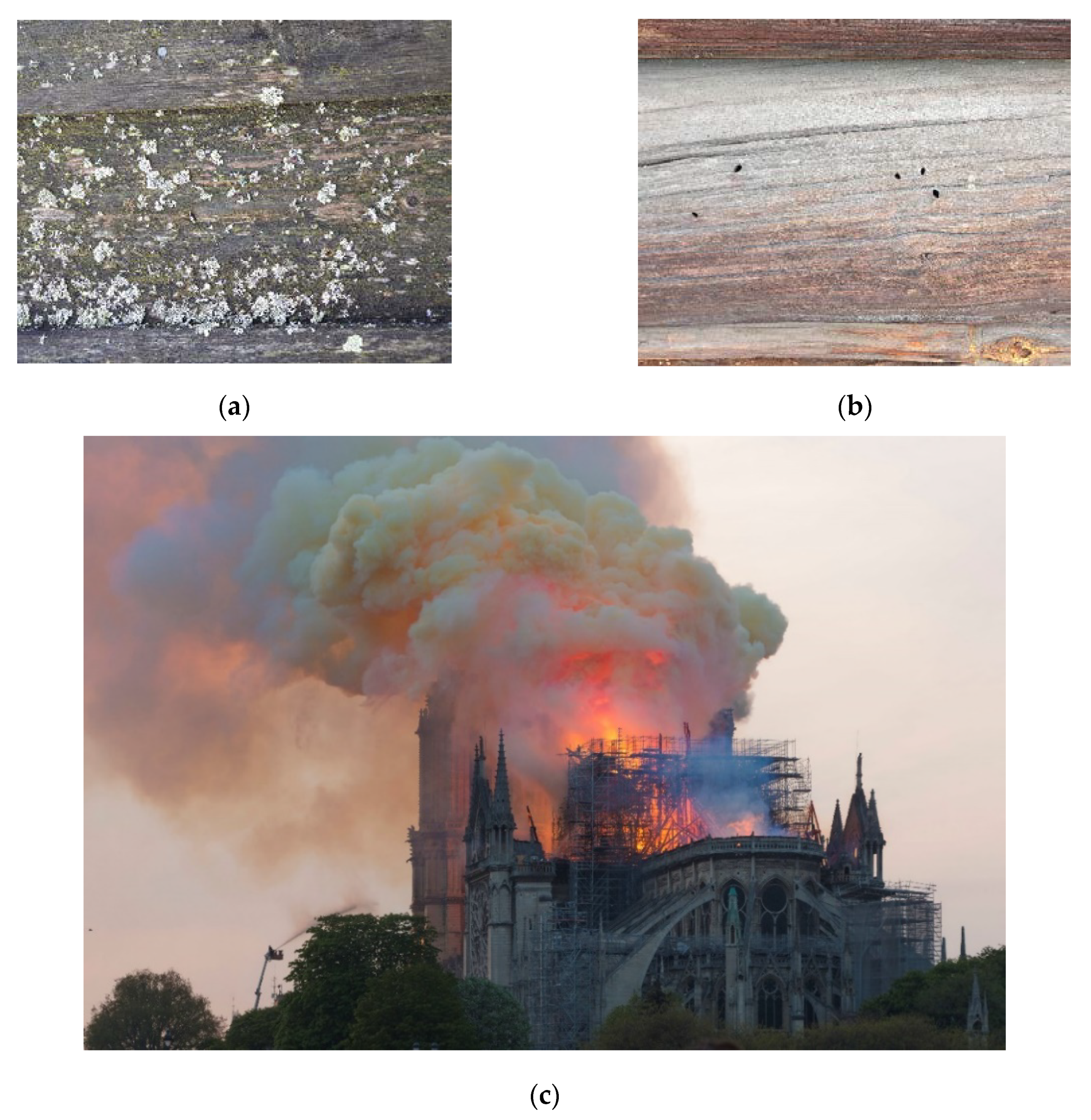 Forests 11 00881 g002 Forests 11 00881 g002