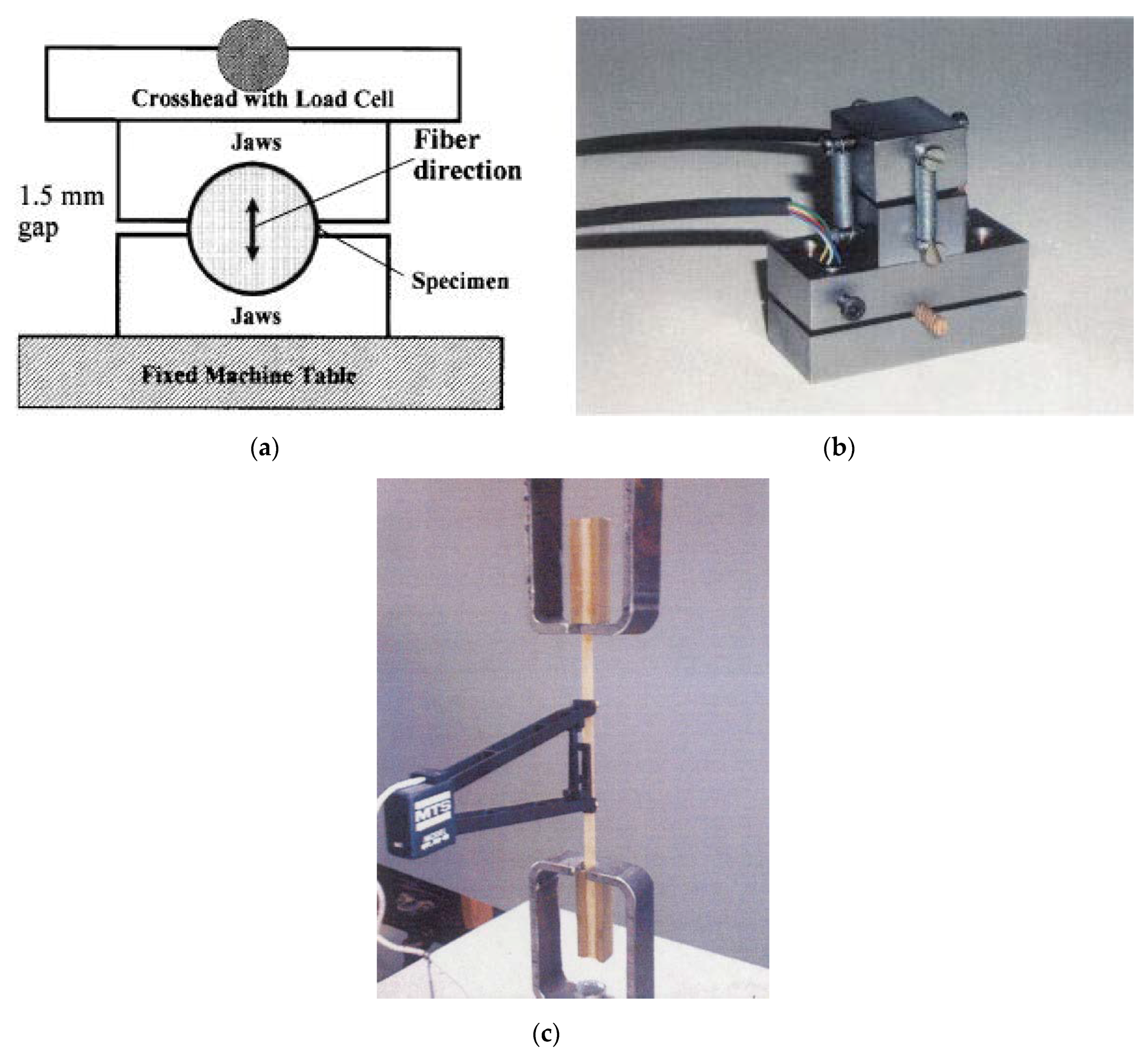 Forests 11 00881 g006 Forests 11 00881 g006