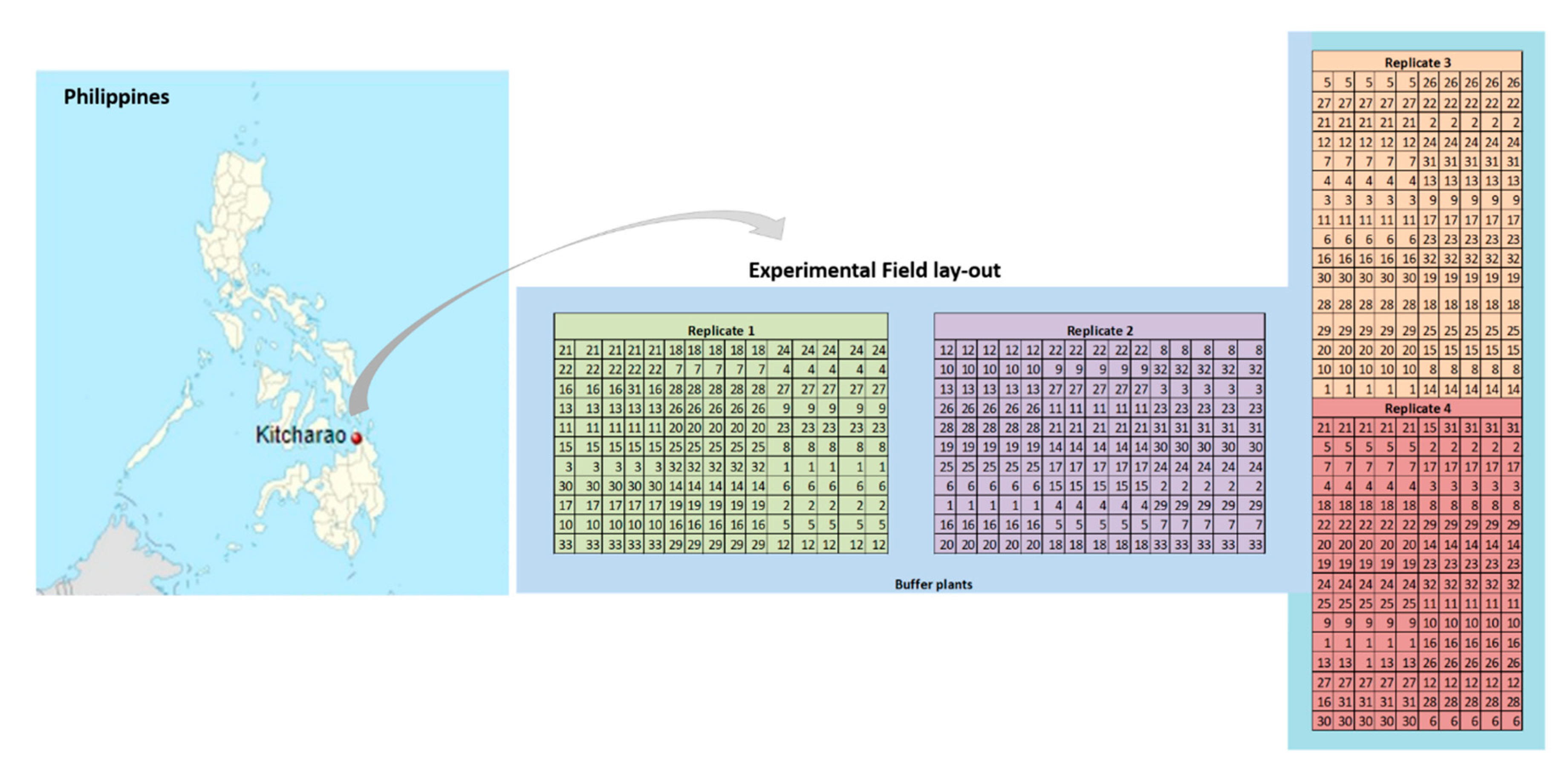 Forests 11 00885 g001 Forests 11 00885 g001