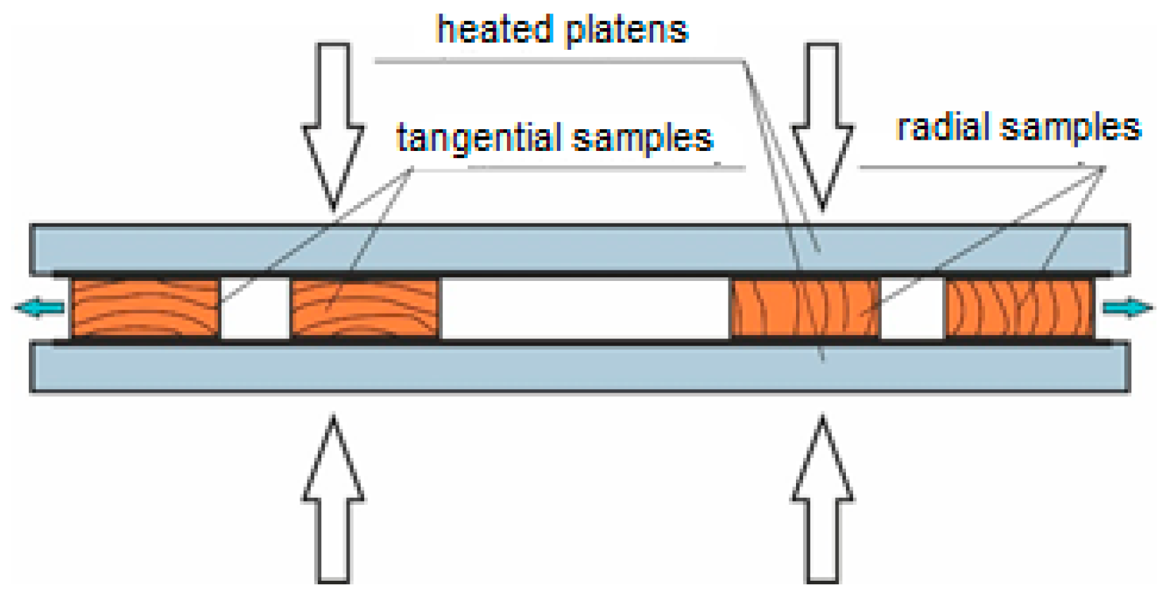 Forests 11 00890 g002 Forests 11 00890 g002