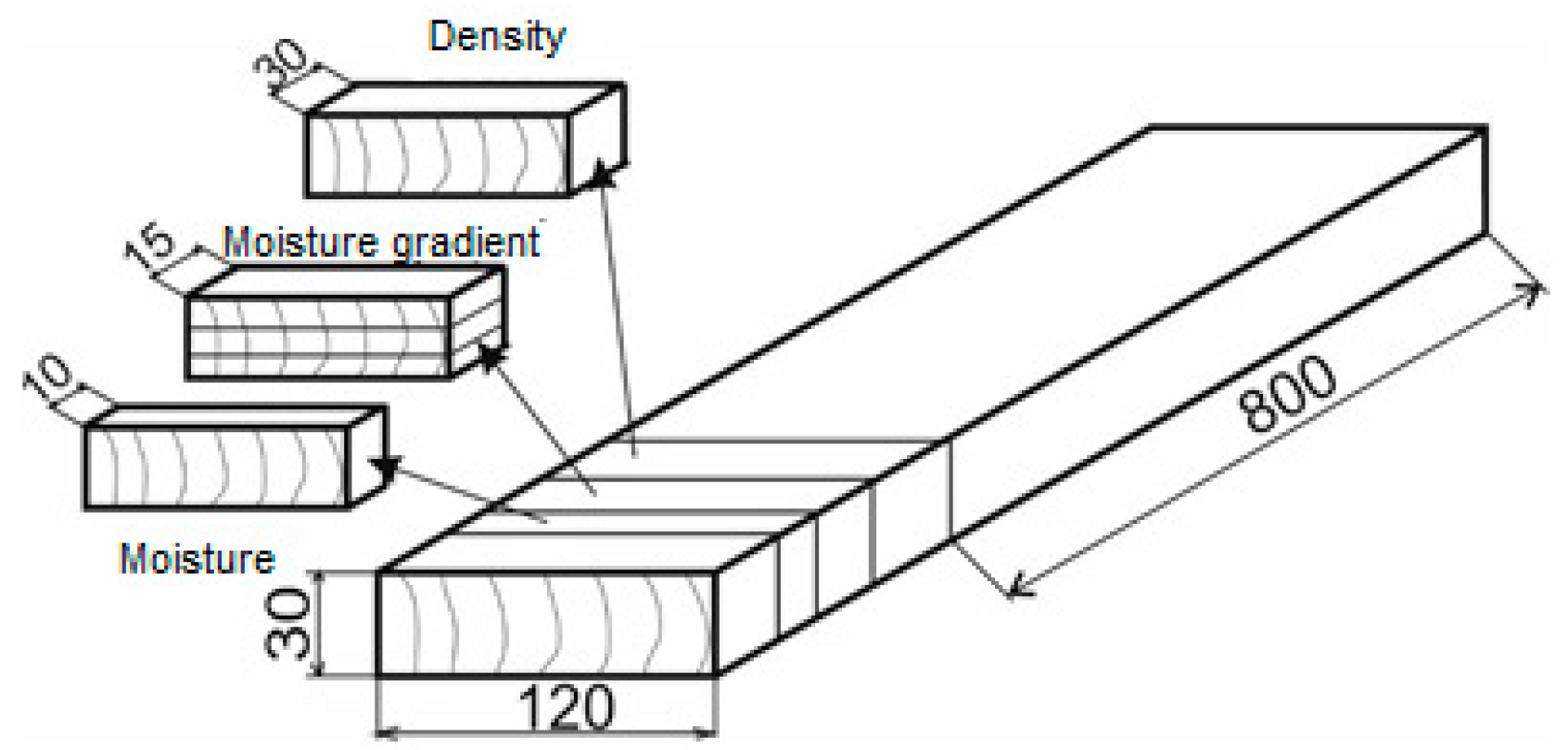 Forests 11 00890 g004 Forests 11 00890 g004