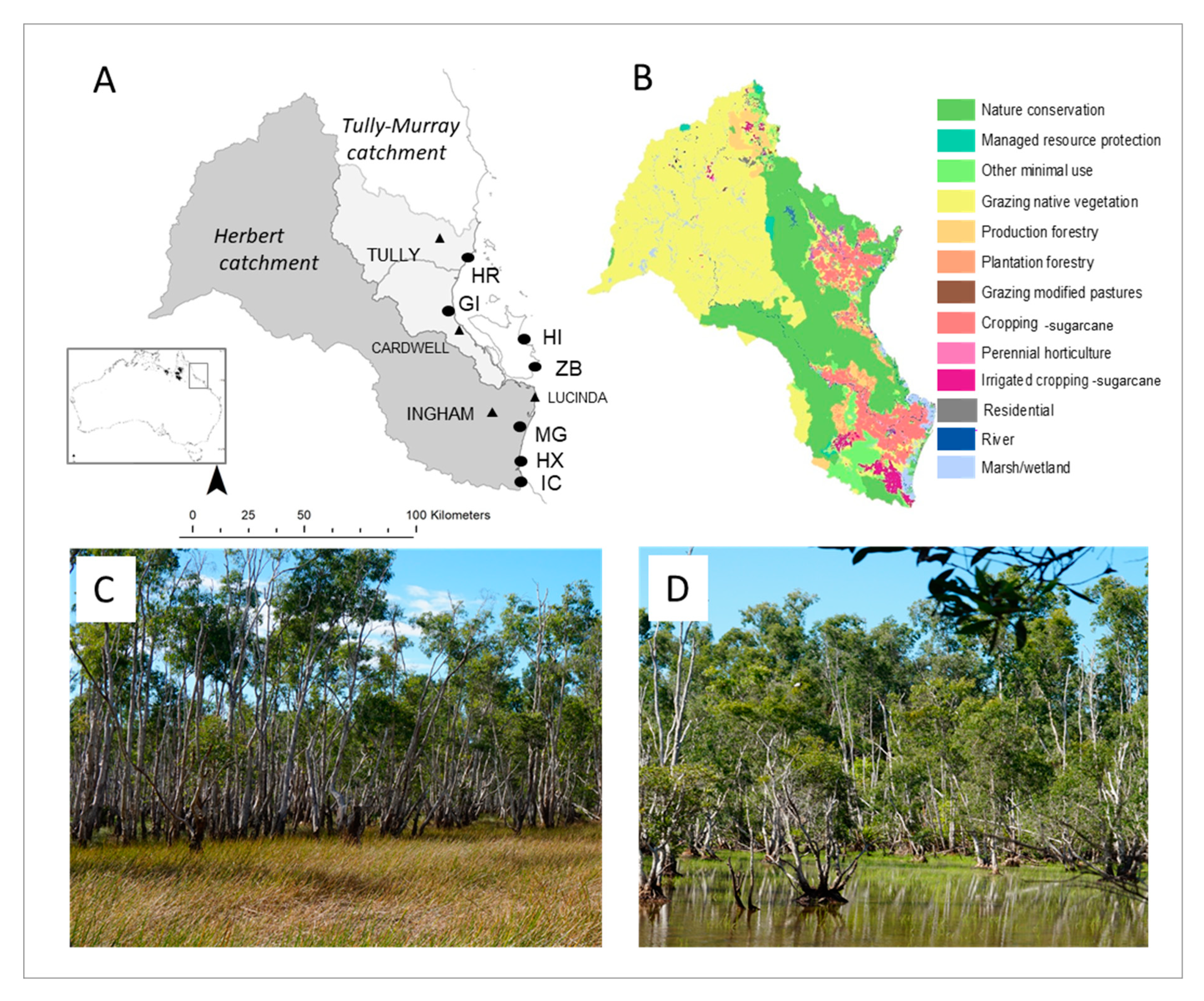 Forests 11 00892 g001 Forests 11 00892 g001
