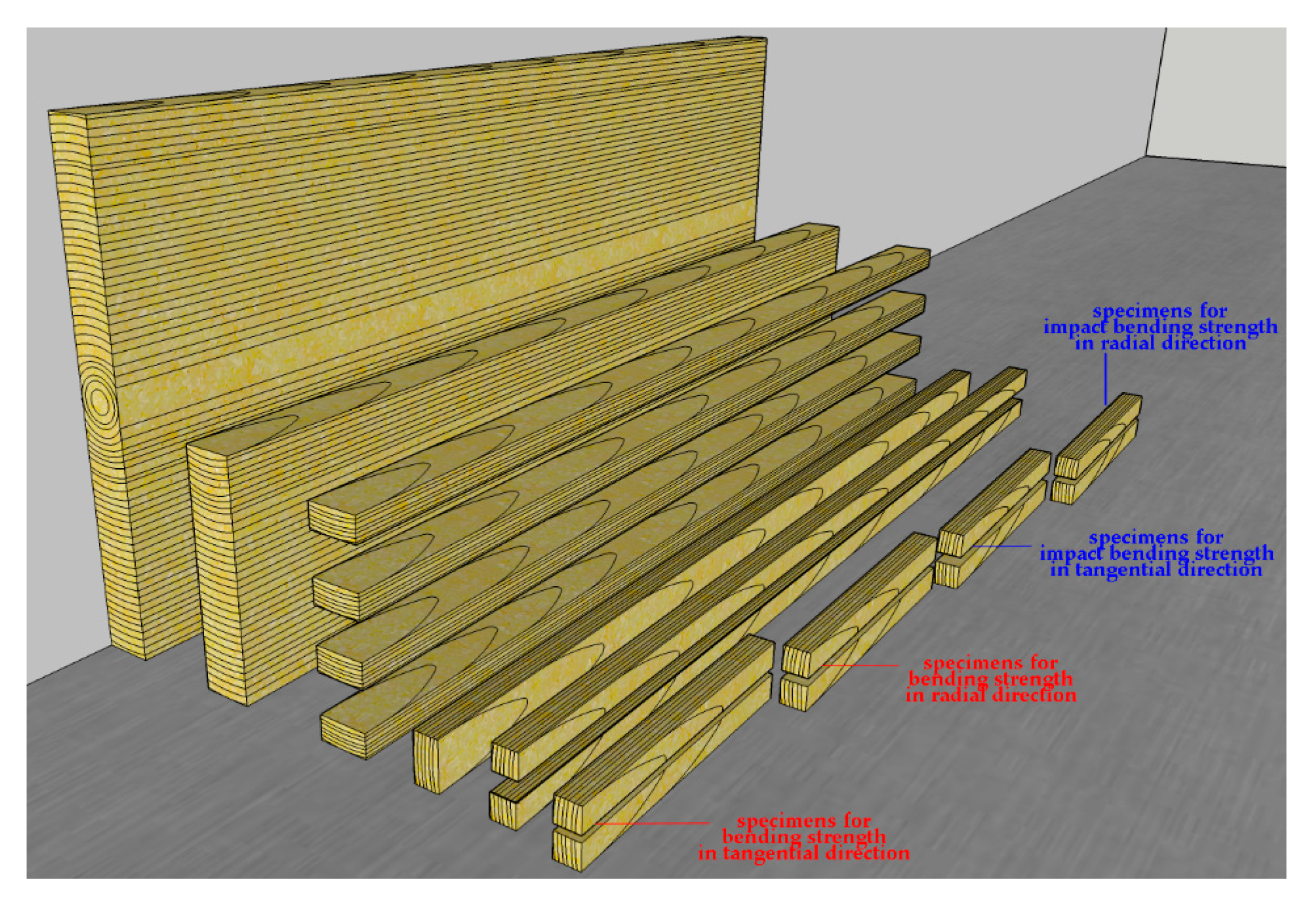 Forests 11 00896 g001