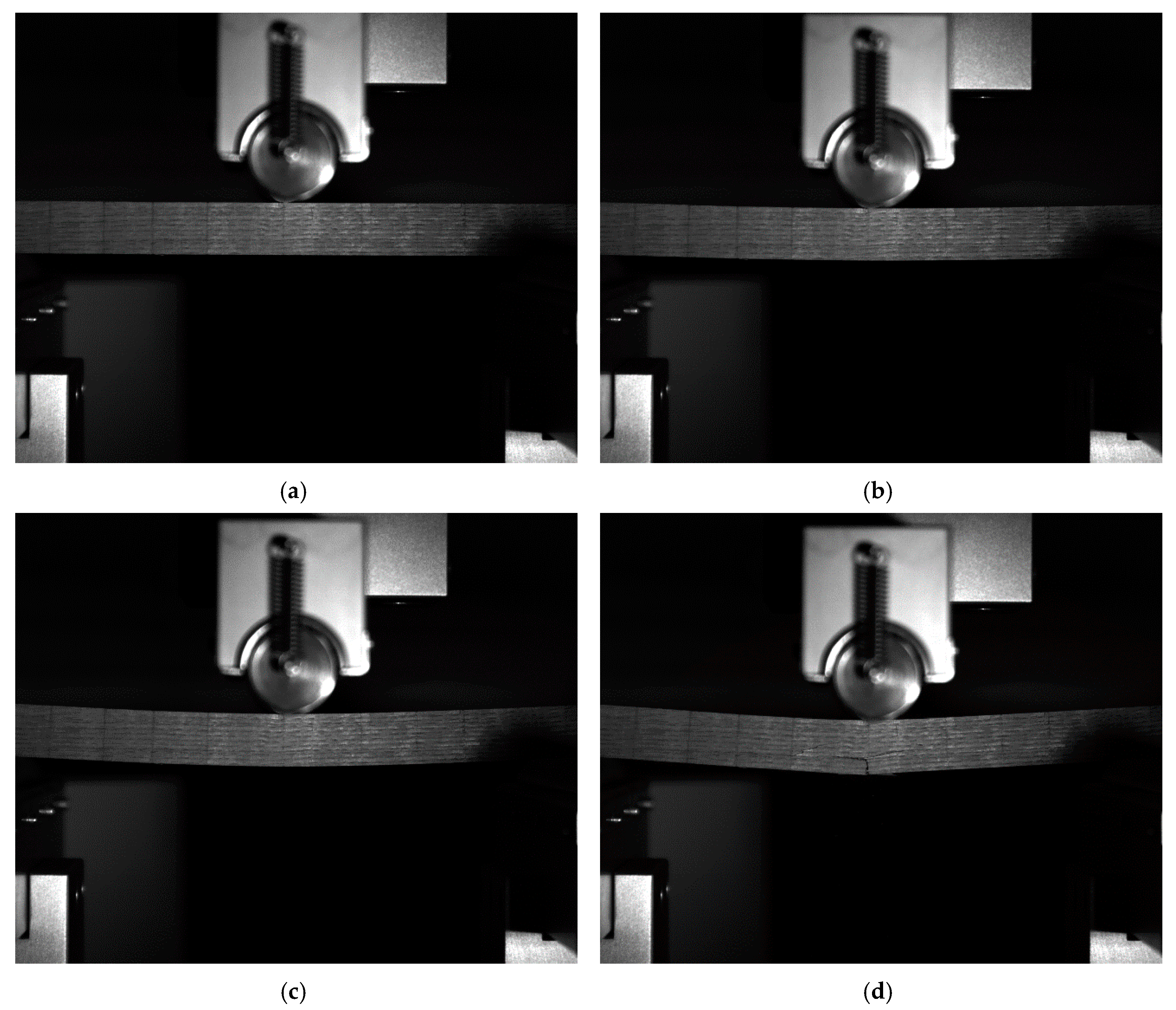 Forests 11 00896 g009