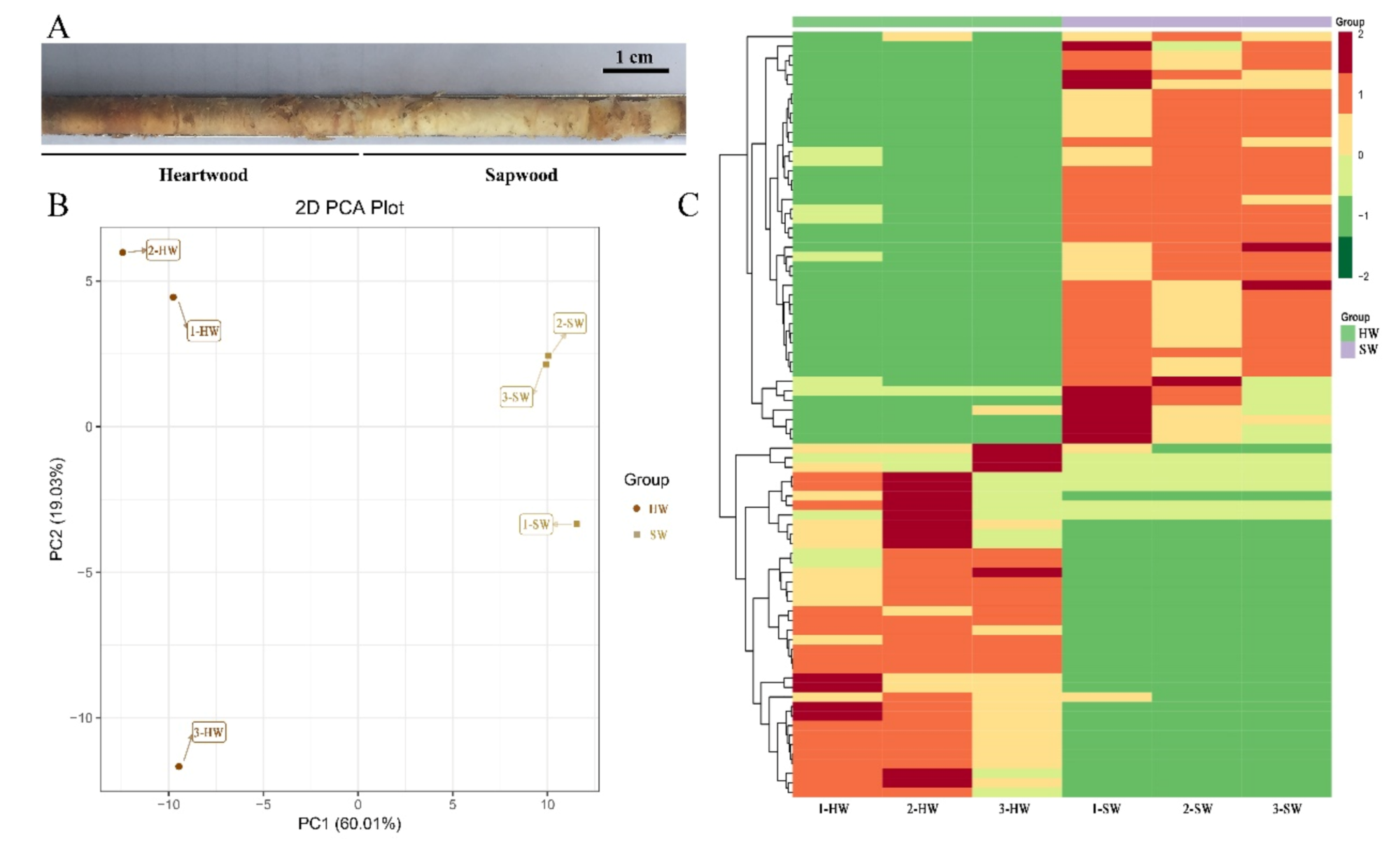 Forests 11 00897 g002 Forests 11 00897 g002