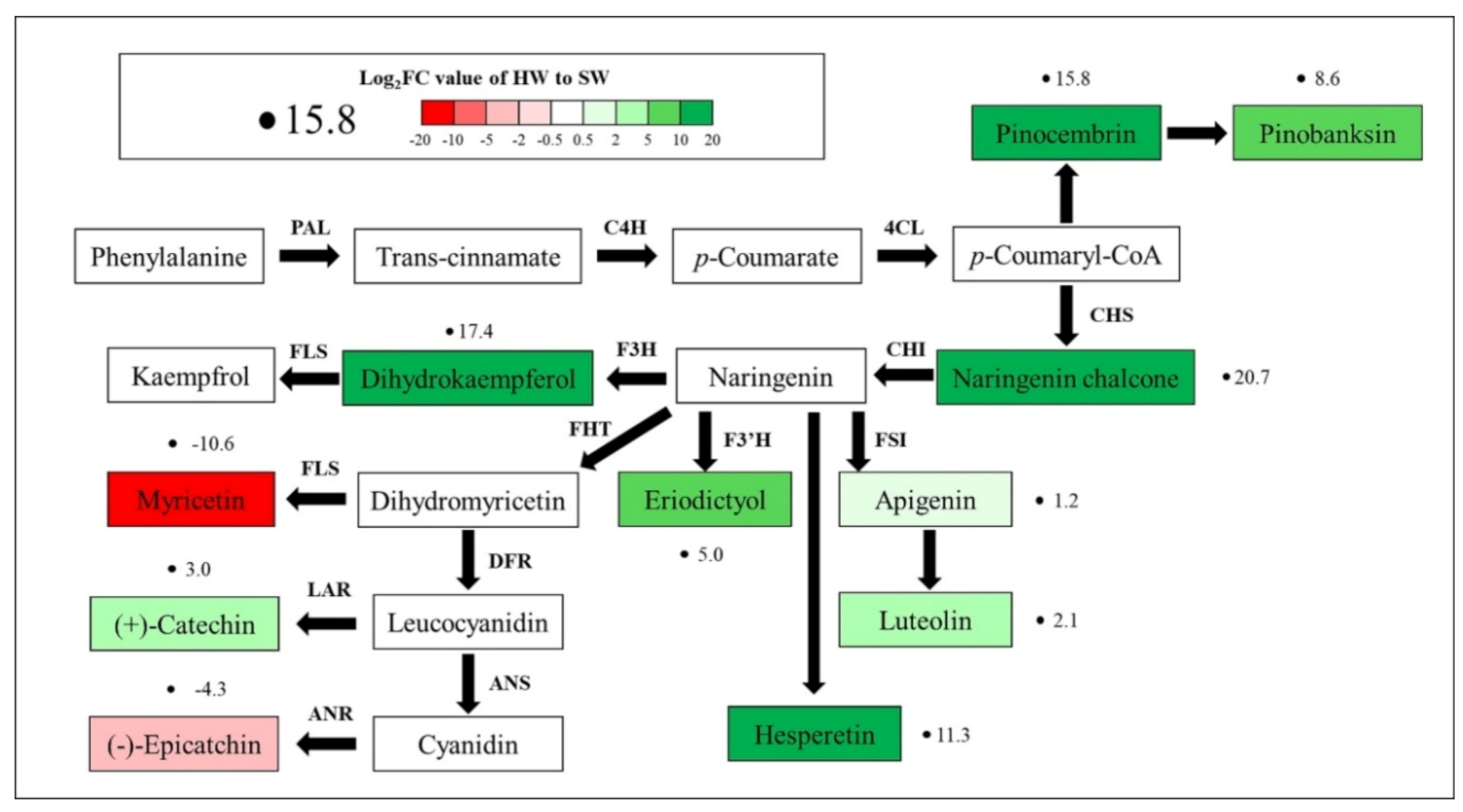 Forests 11 00897 g006 Forests 11 00897 g006