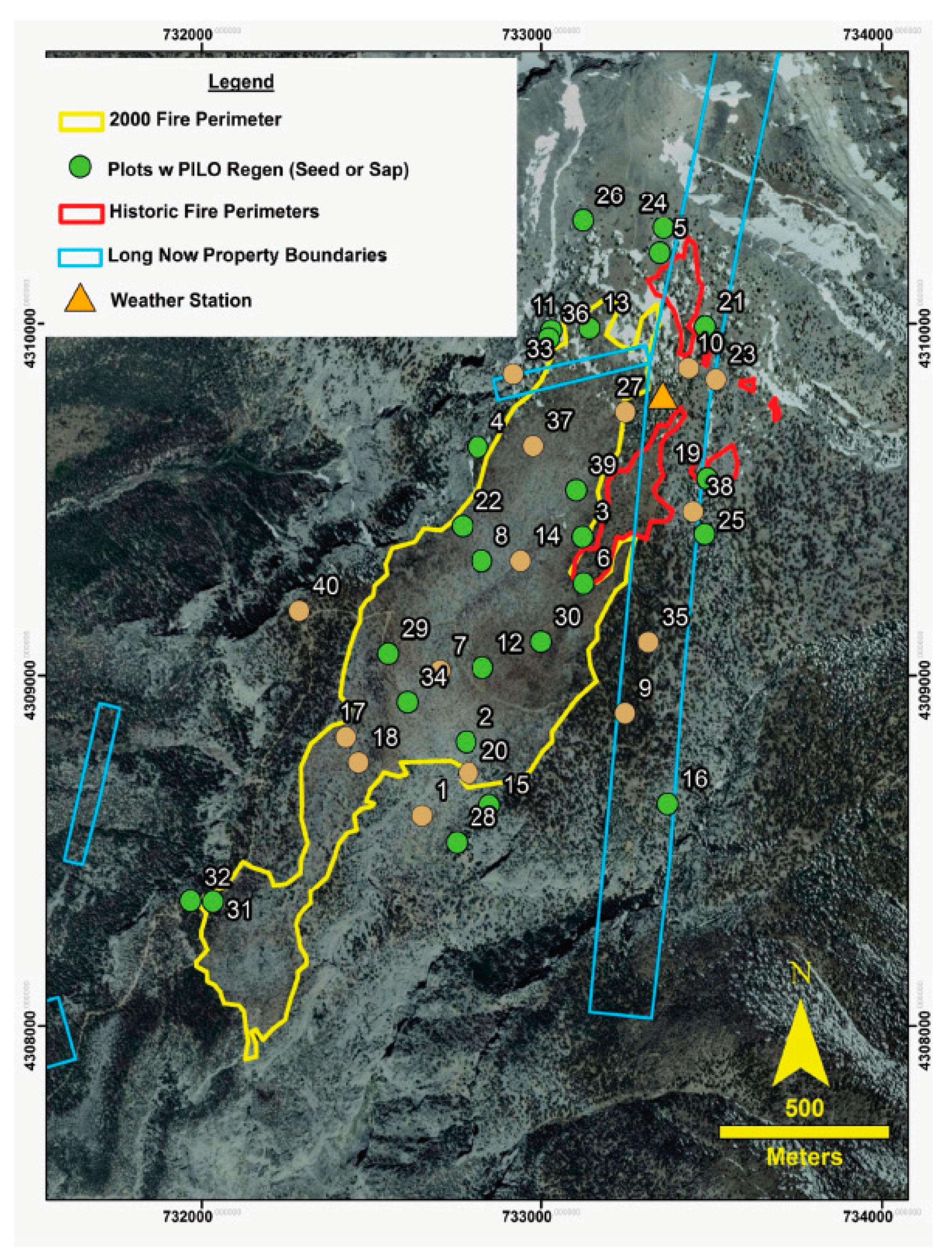 Forests 11 00900 g001 Forests 11 00900 g001