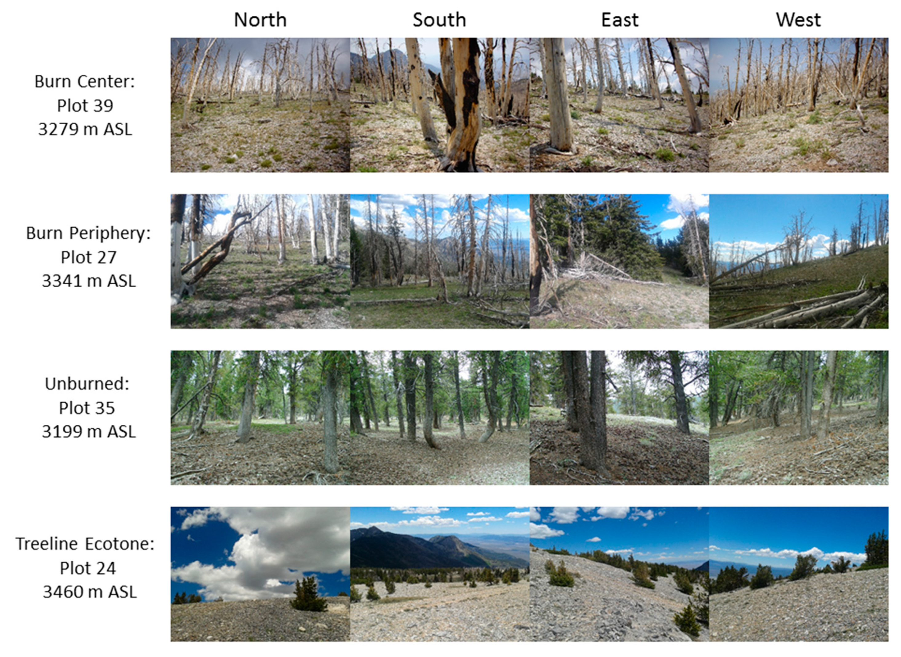 Forests 11 00900 g003 Forests 11 00900 g003