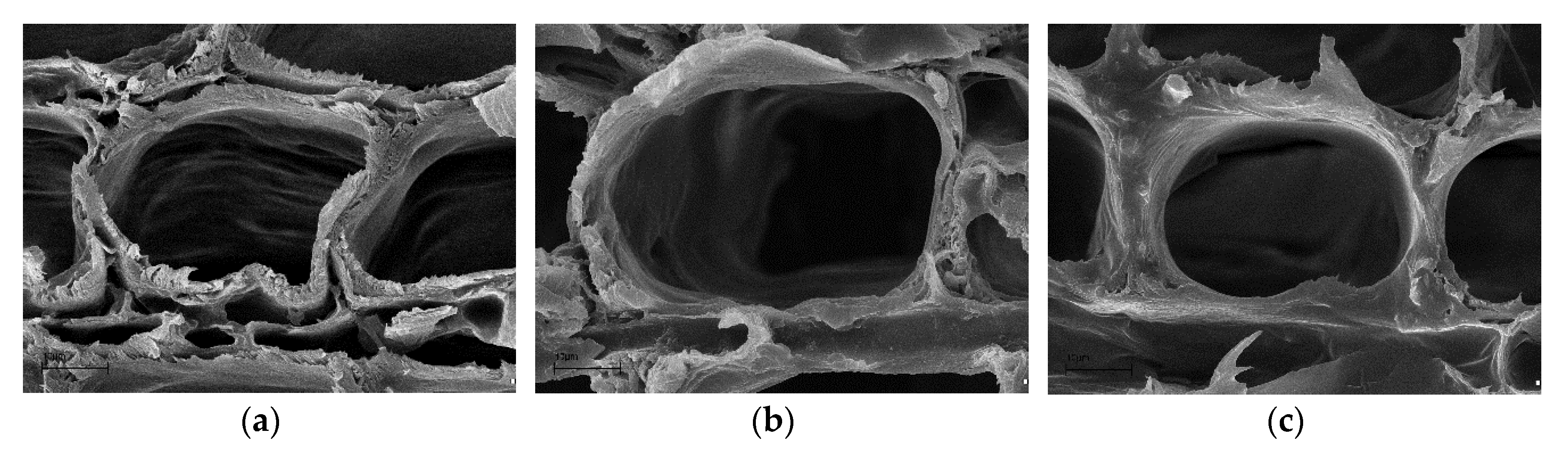 Forests 11 00907 g007 Forests 11 00907 g007