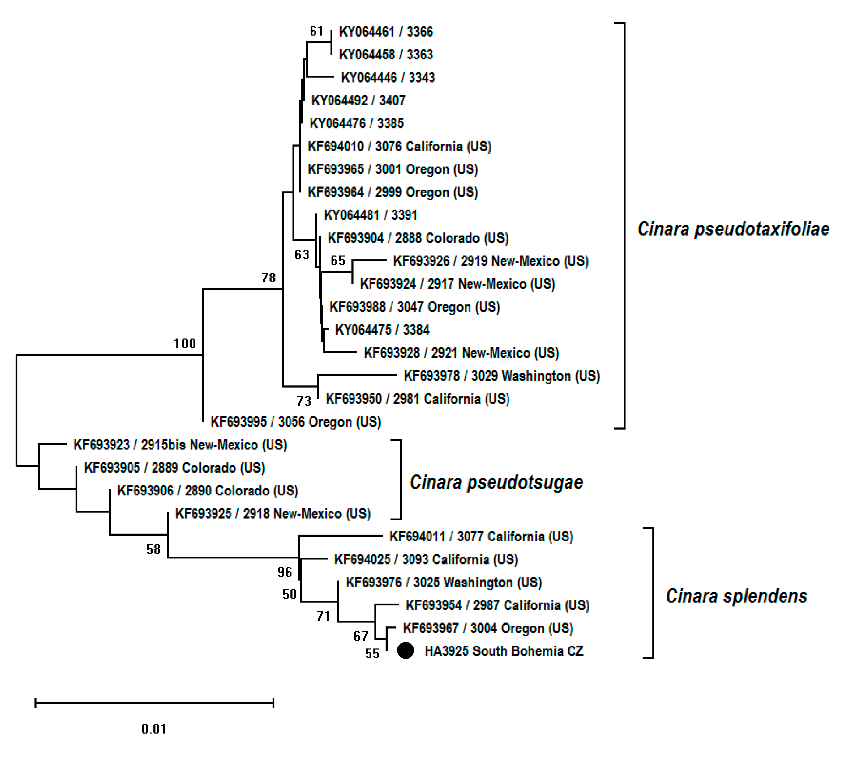 Forests 11 00911 g005