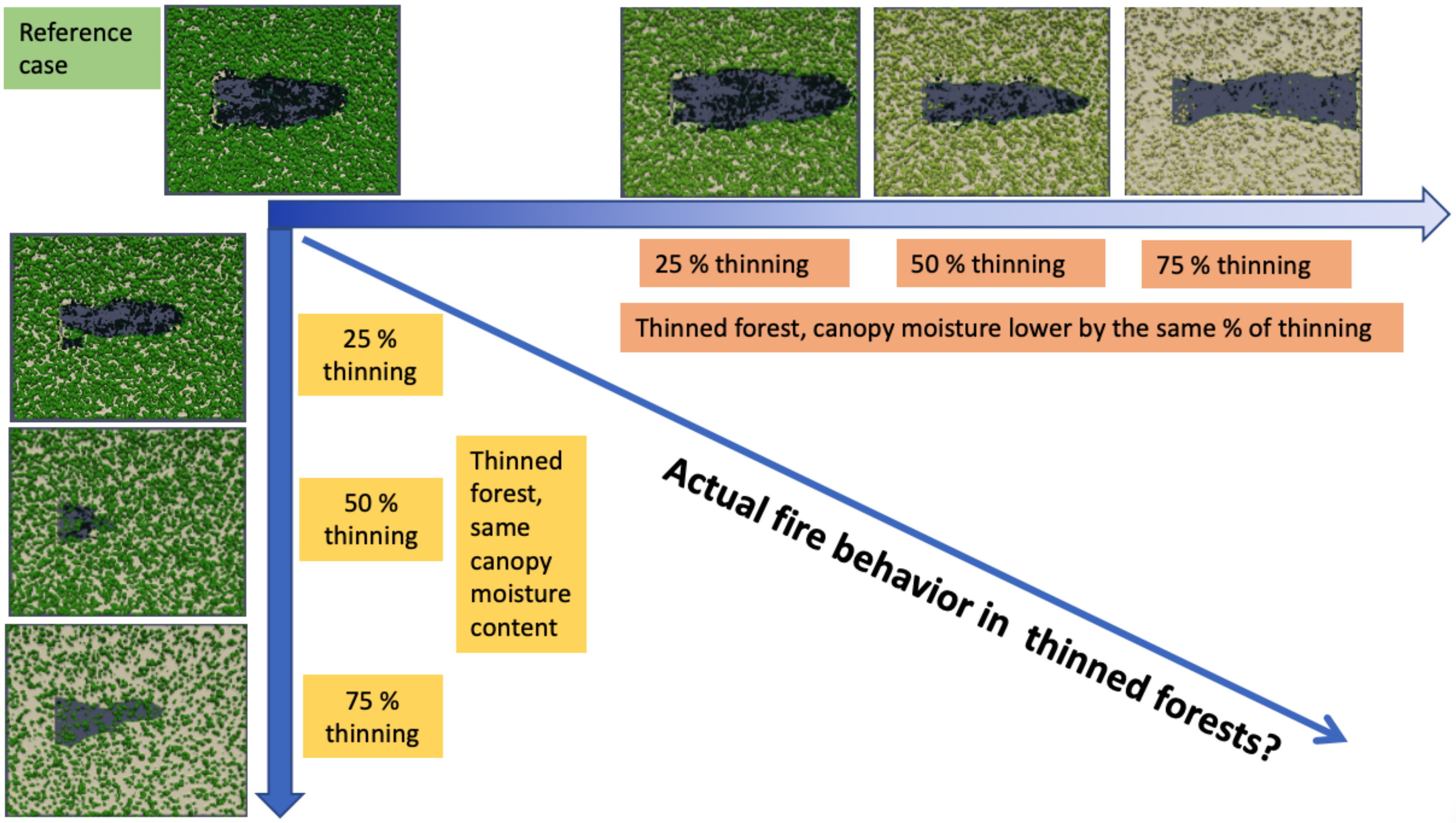 Forests 11 00918 g002