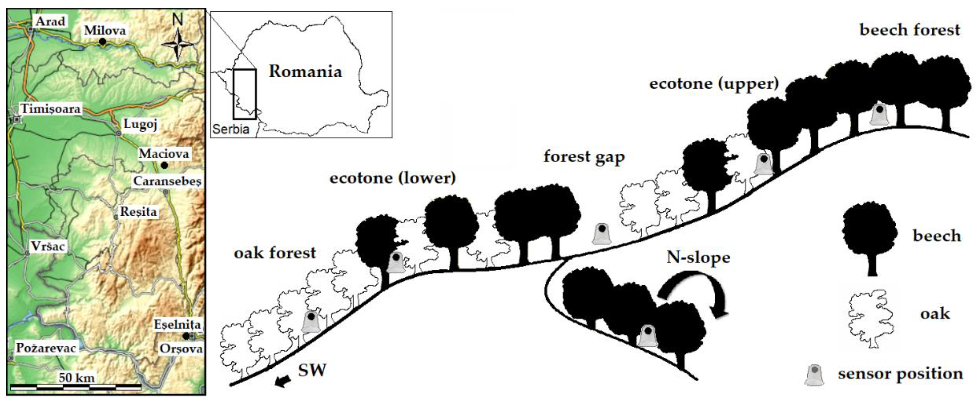 Forests 11 00919 g001 Forests 11 00919 g001
