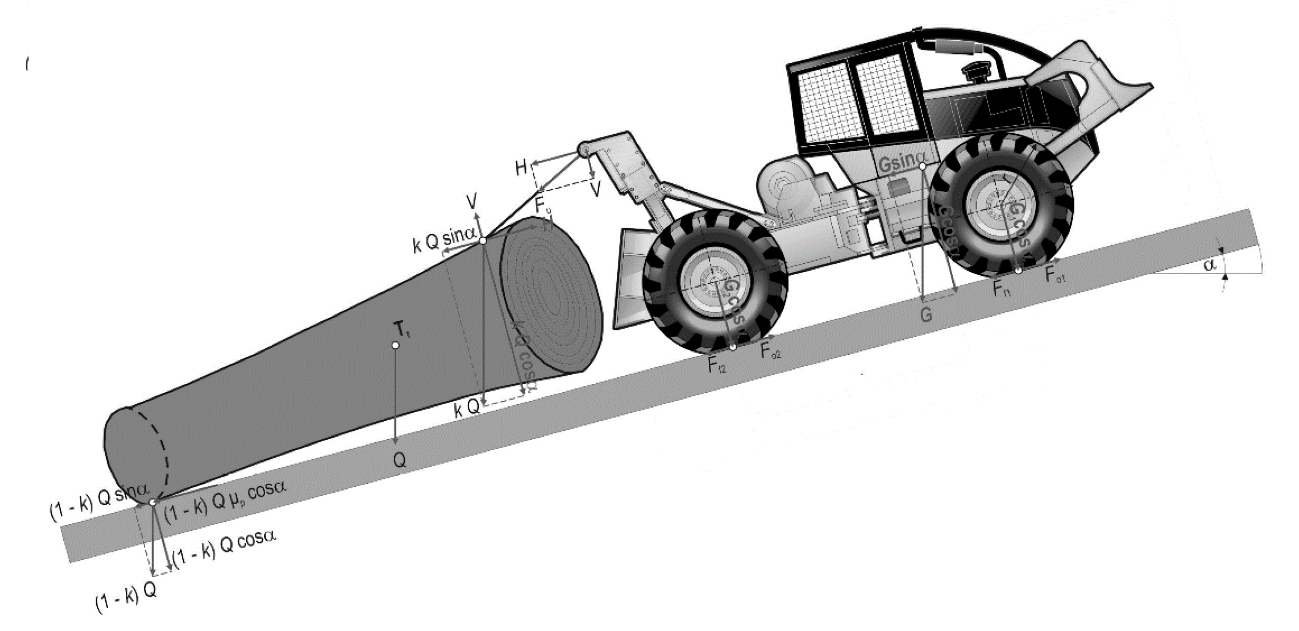 Forests 11 00921 g002 Forests 11 00921 g002