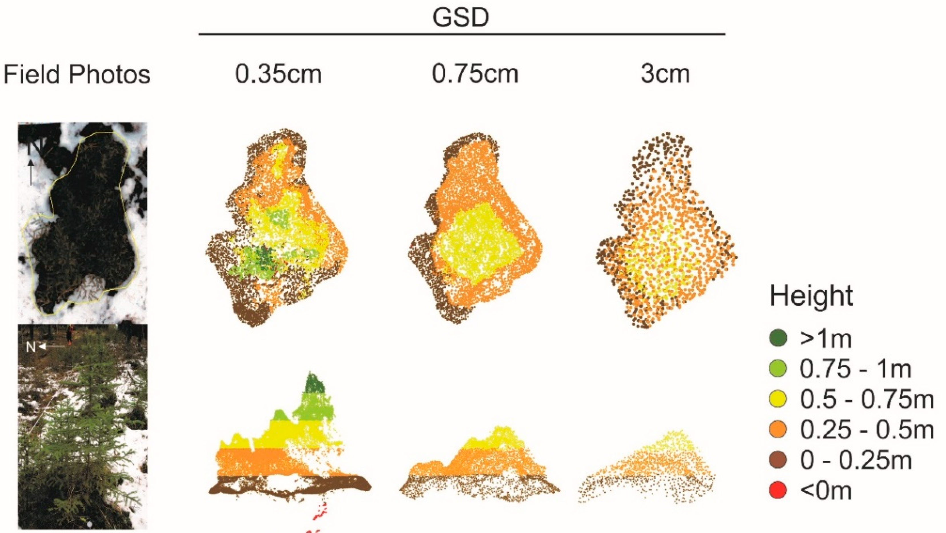 Forests 11 00924 g005