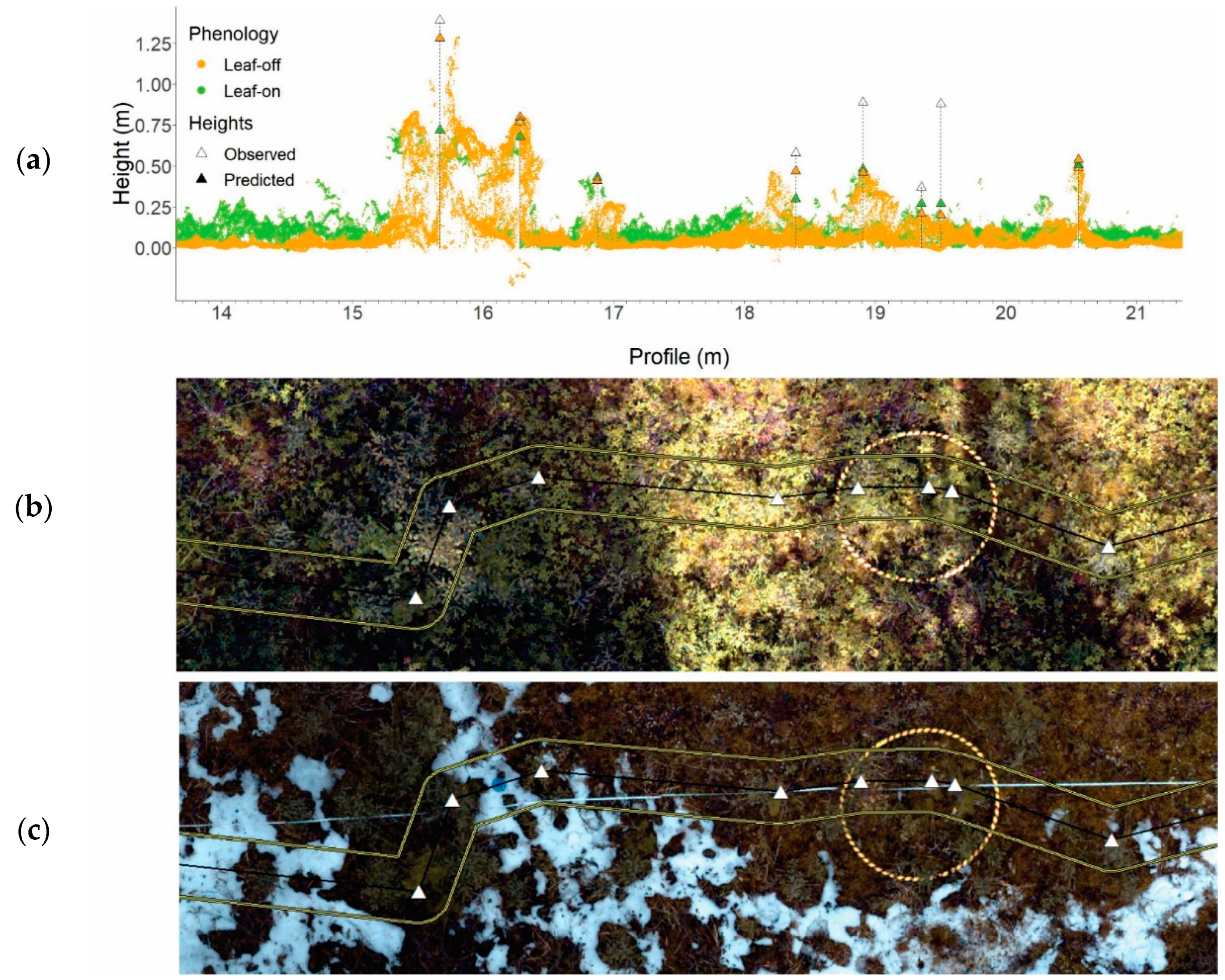 Forests 11 00924 g006