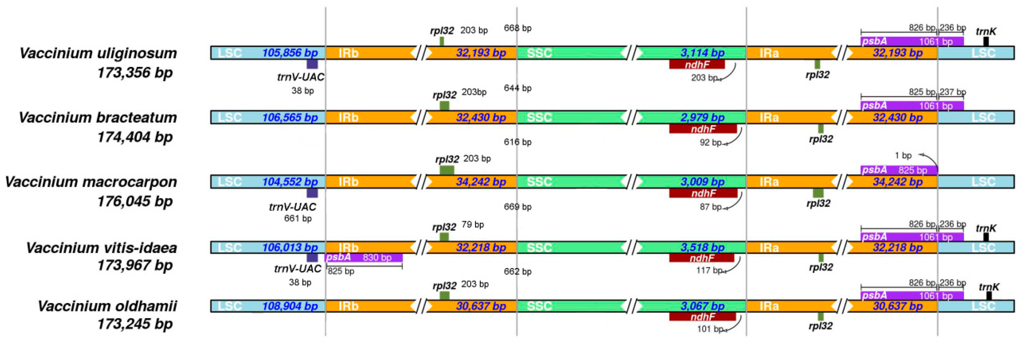 Forests 11 00927 g001 Forests 11 00927 g001