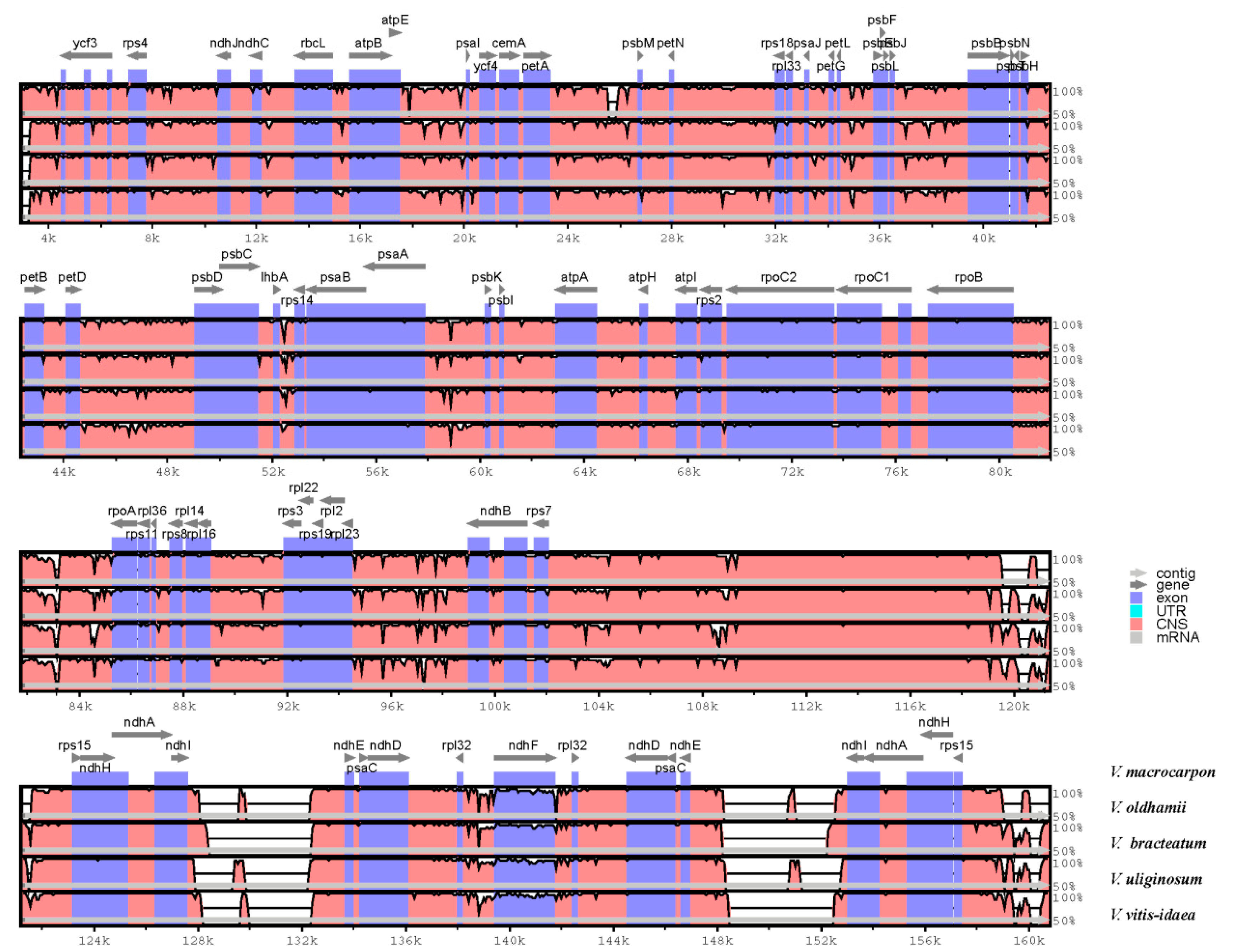 Forests 11 00927 g002 Forests 11 00927 g002