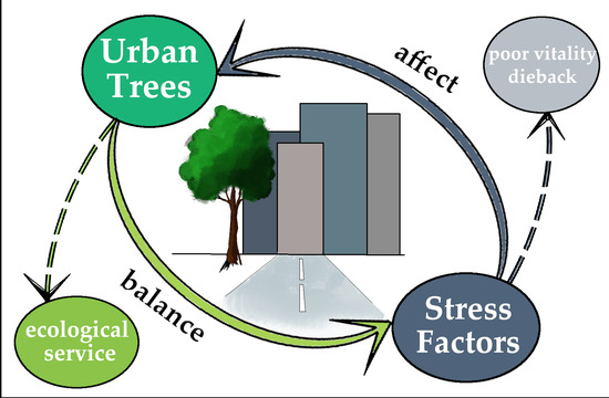 Forests Free Full Text The Complex Issue Of Urban Trees Stress Factor Accumulation And Ecological Service Possibilities Html Forests Free Full Text The Complex Issue Of Urban Trees Stress Factor Accumulation And Ecological Service Possibilities Html