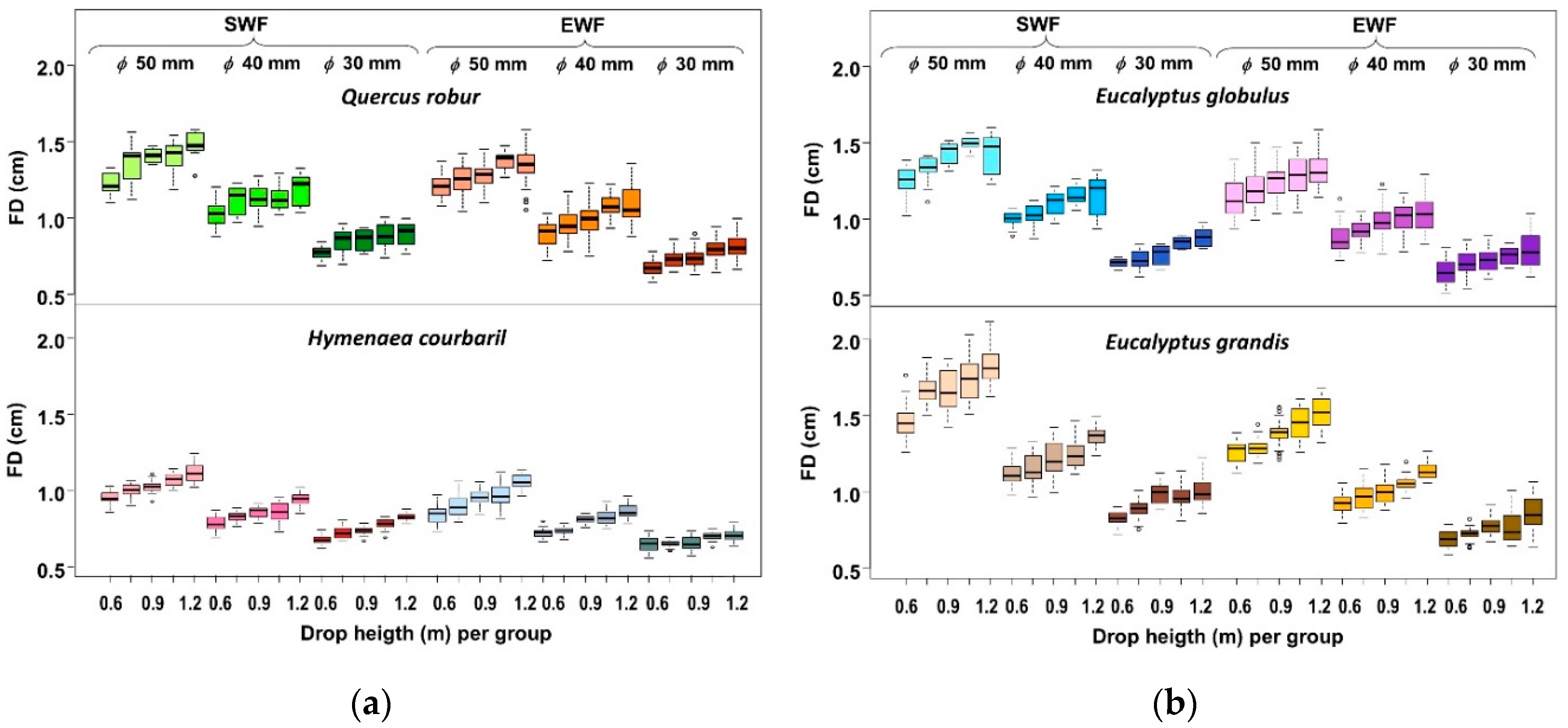 Forests 11 00933 g003