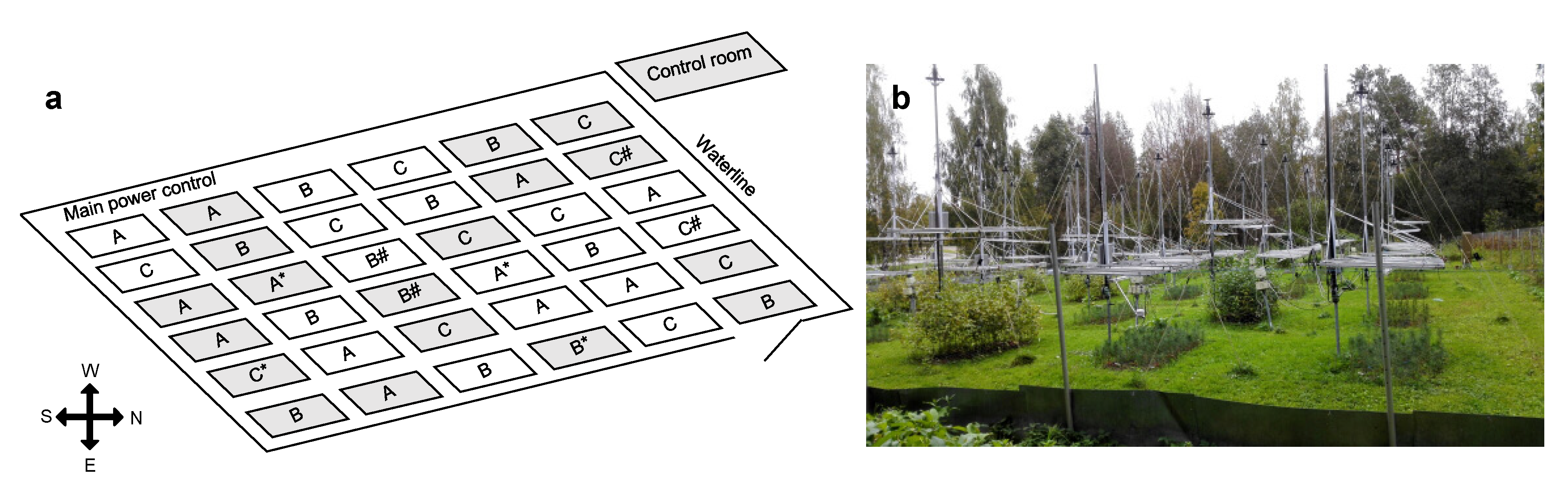 Forests 11 00943 g001 Forests 11 00943 g001