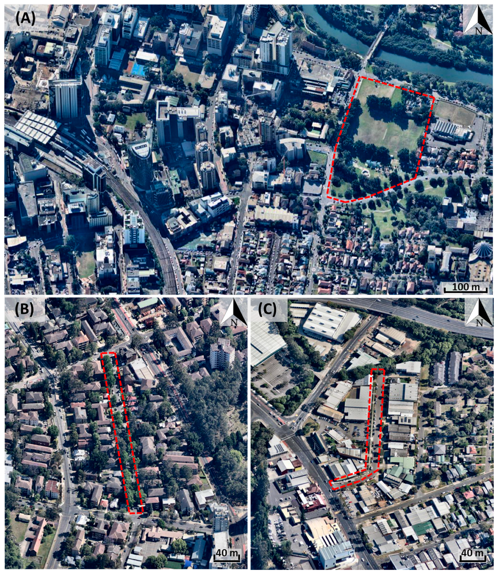 Forests 11 00945 g004