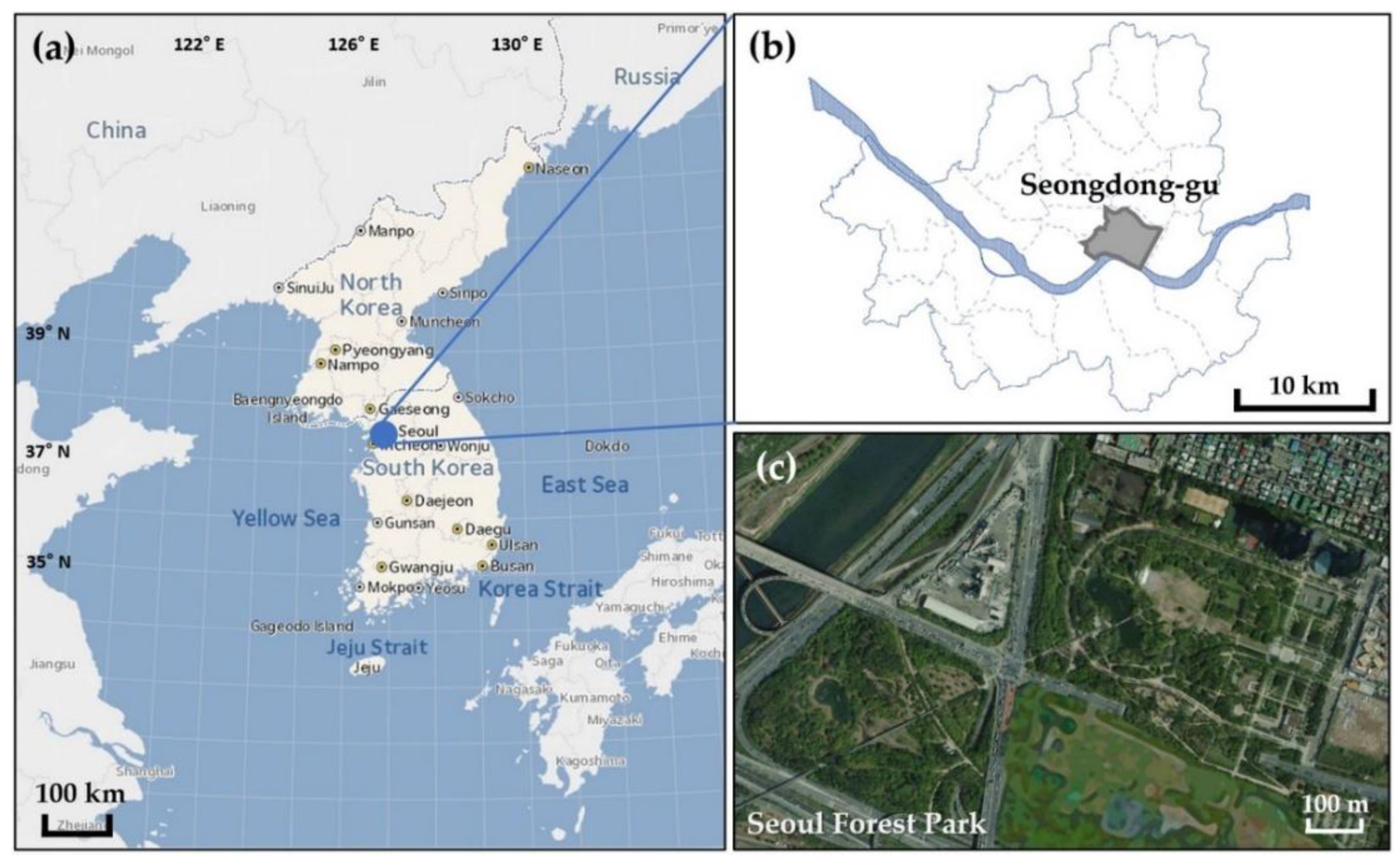 Forests 11 00946 g001